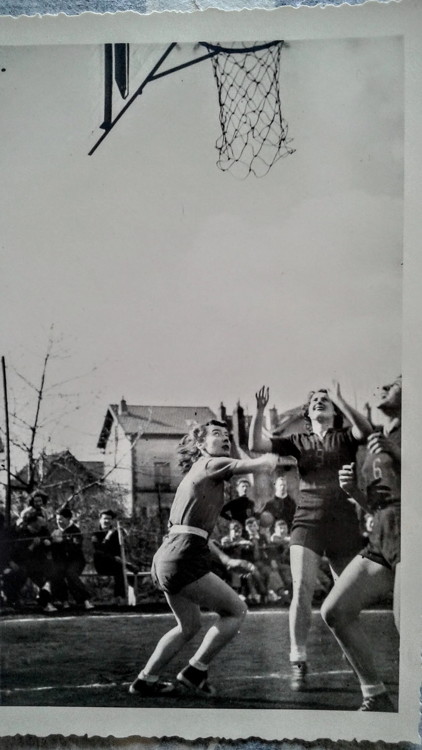Mamy, 1949