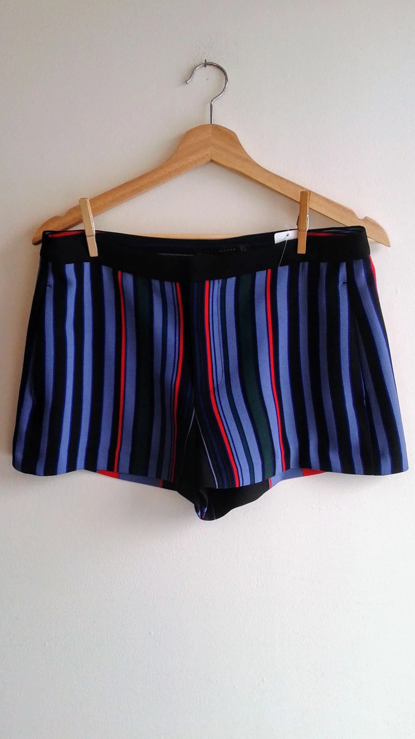 Zara shorts (NWT); Size M, $14