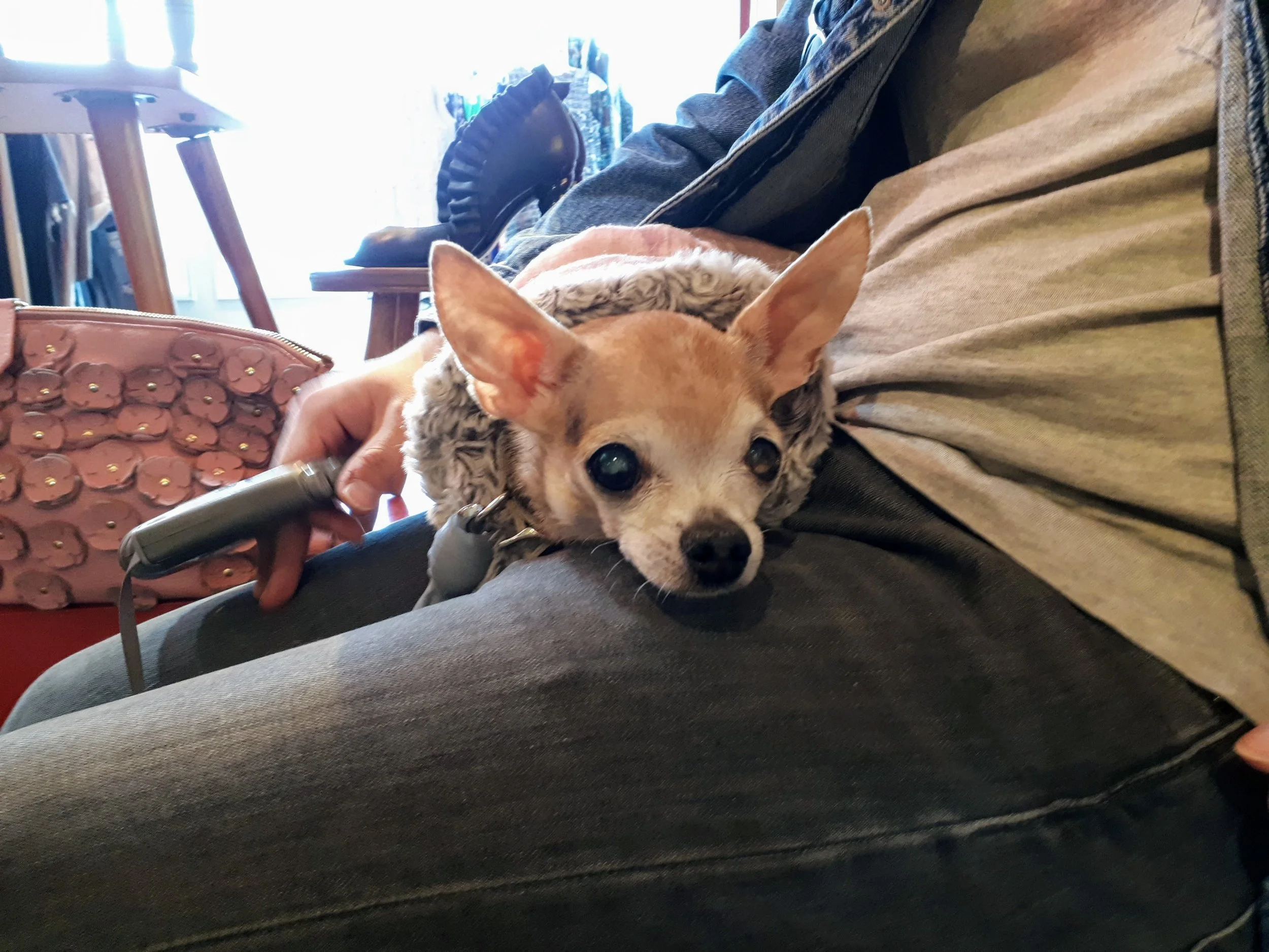 20180414_170600.jpg
