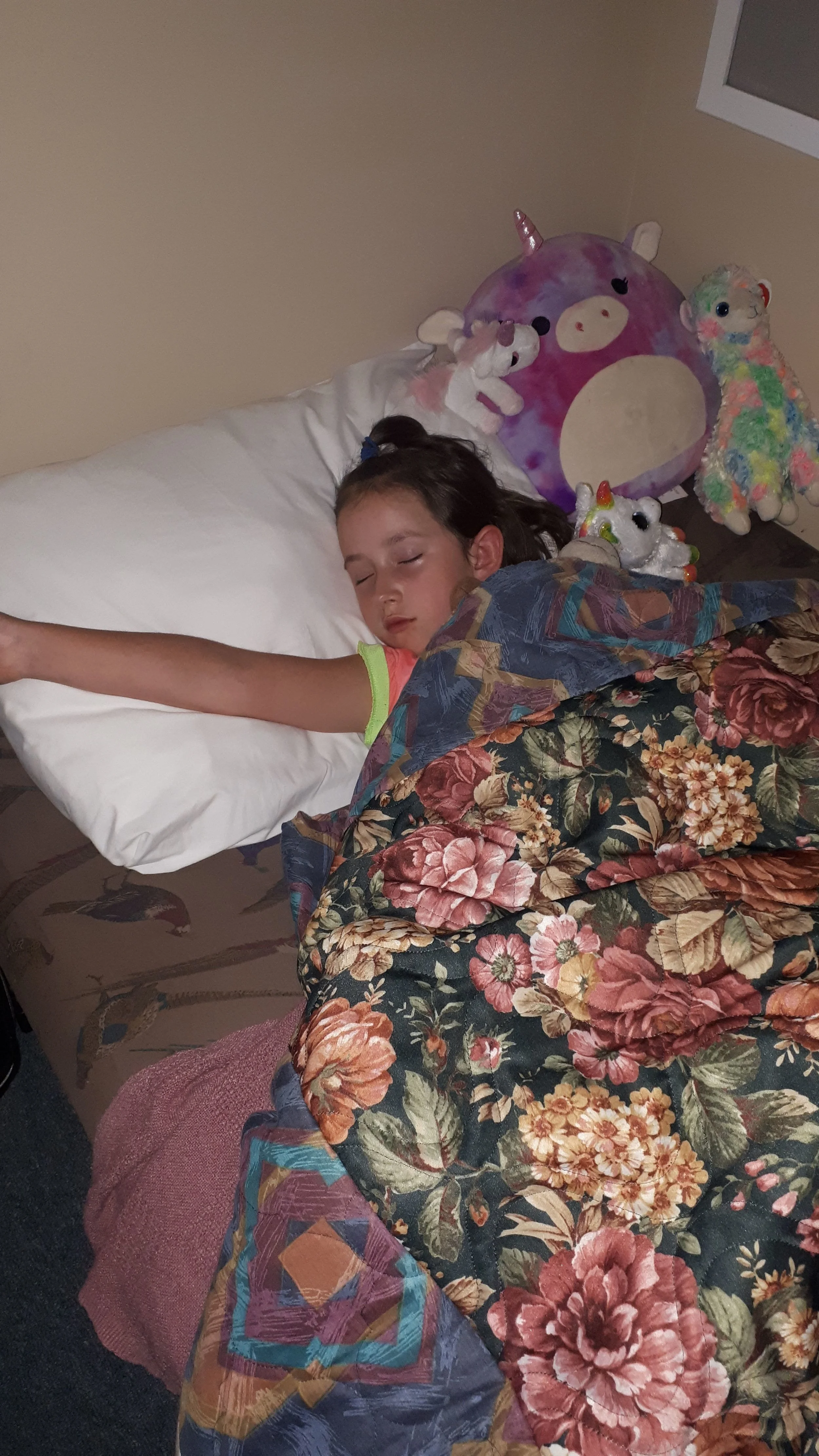 20190805_233949.jpg