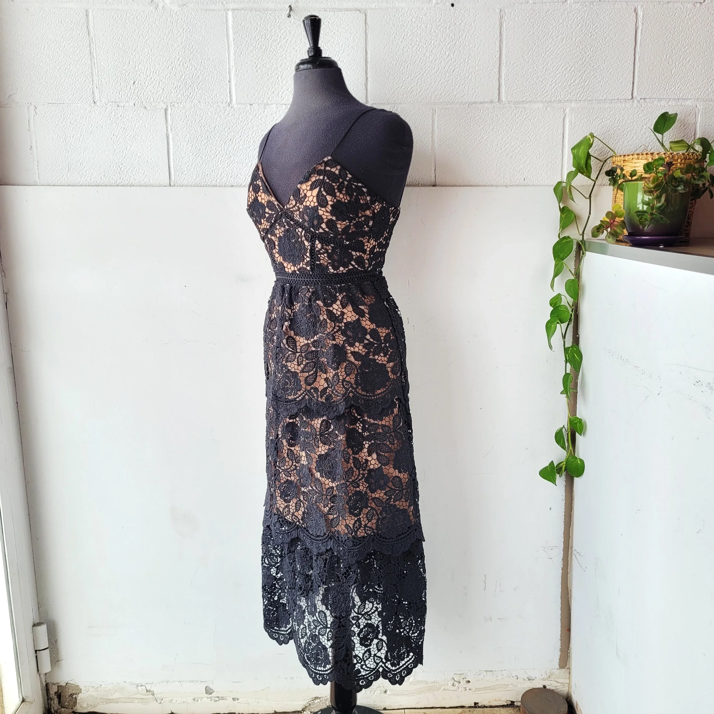 Self-Portrait Dress, Size 4