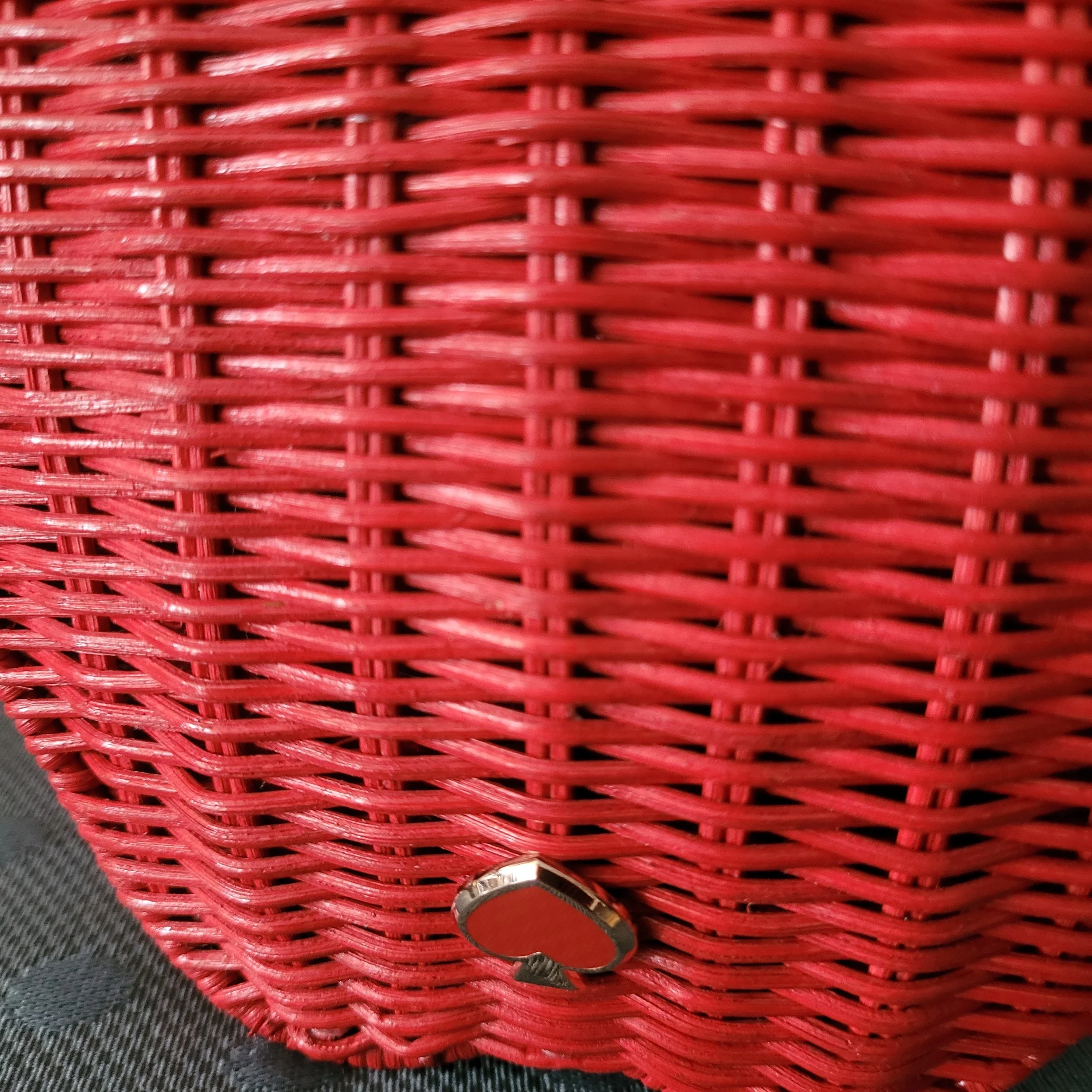 20260601_134210.jpg