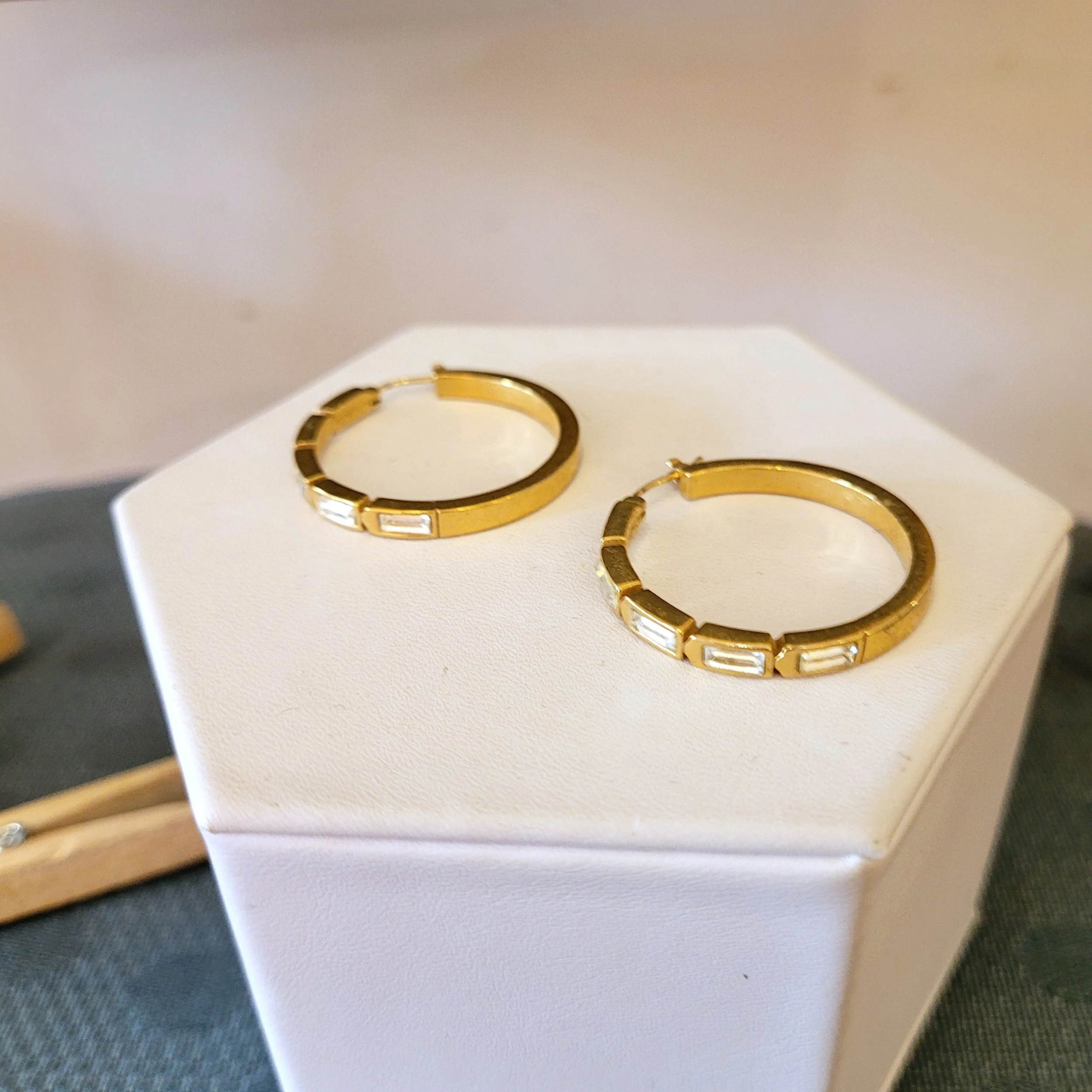 Coach Earrings