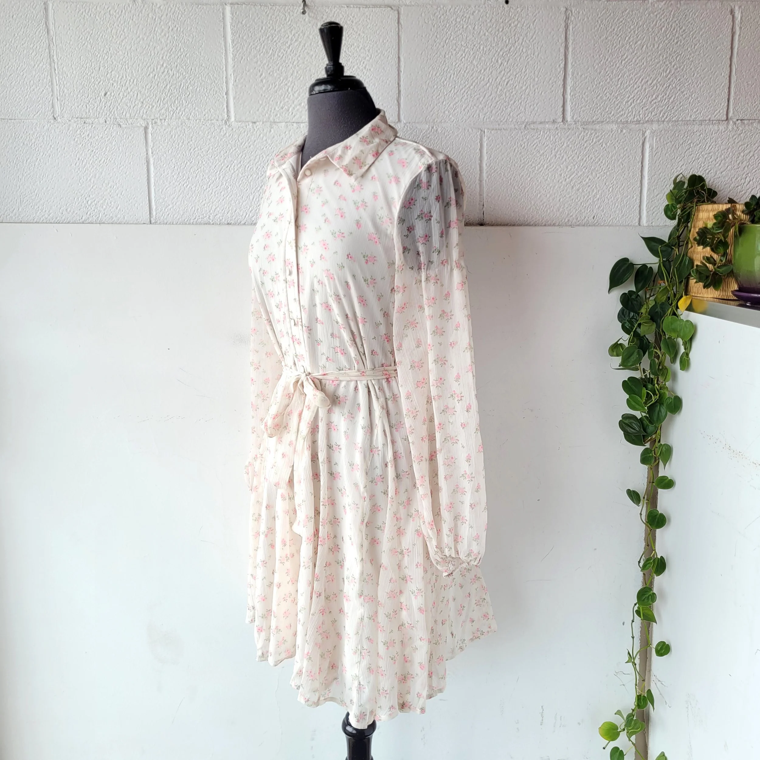 Button-Front Dress, Size M