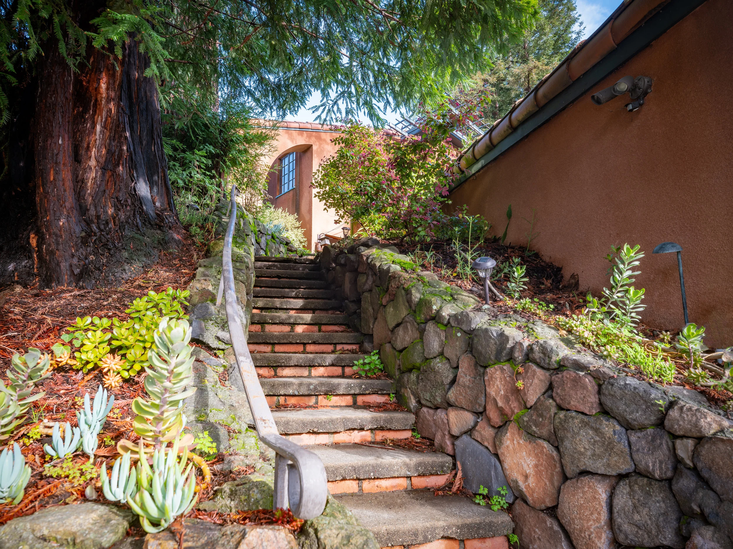 BAN_Alvarado-7996-HDR-Edit.jpg