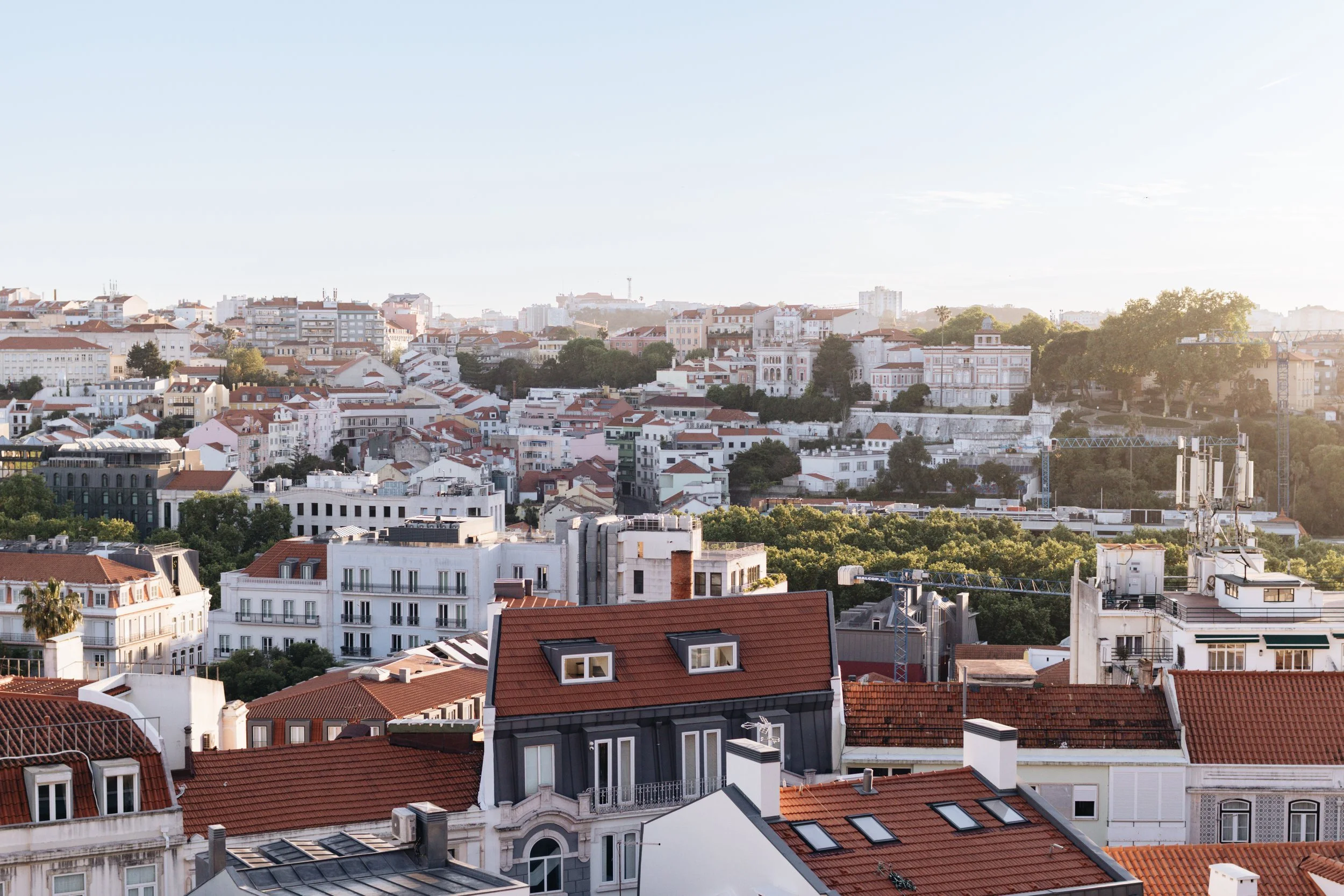 Quiet evening in Lisbon, Field Guide closing image