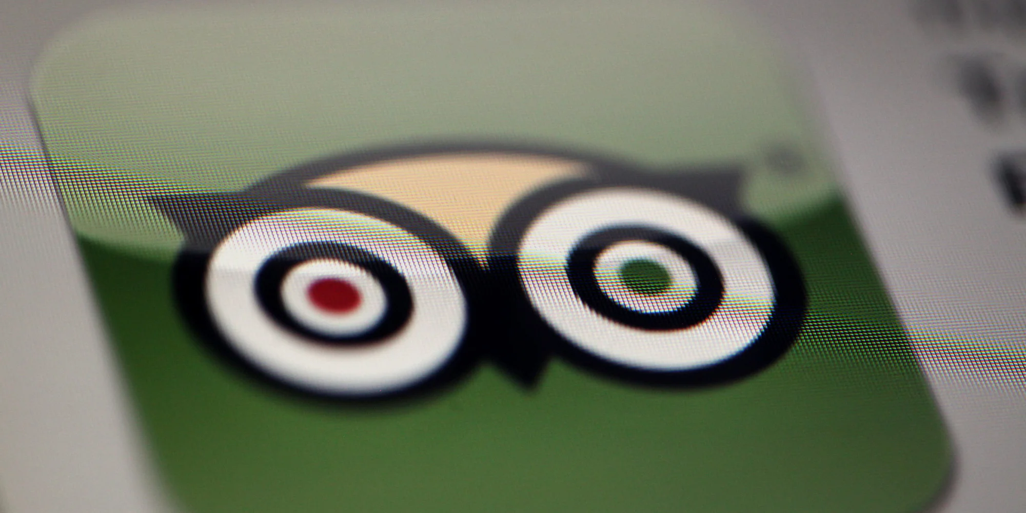 TripAdvisor-Thumb.jpg