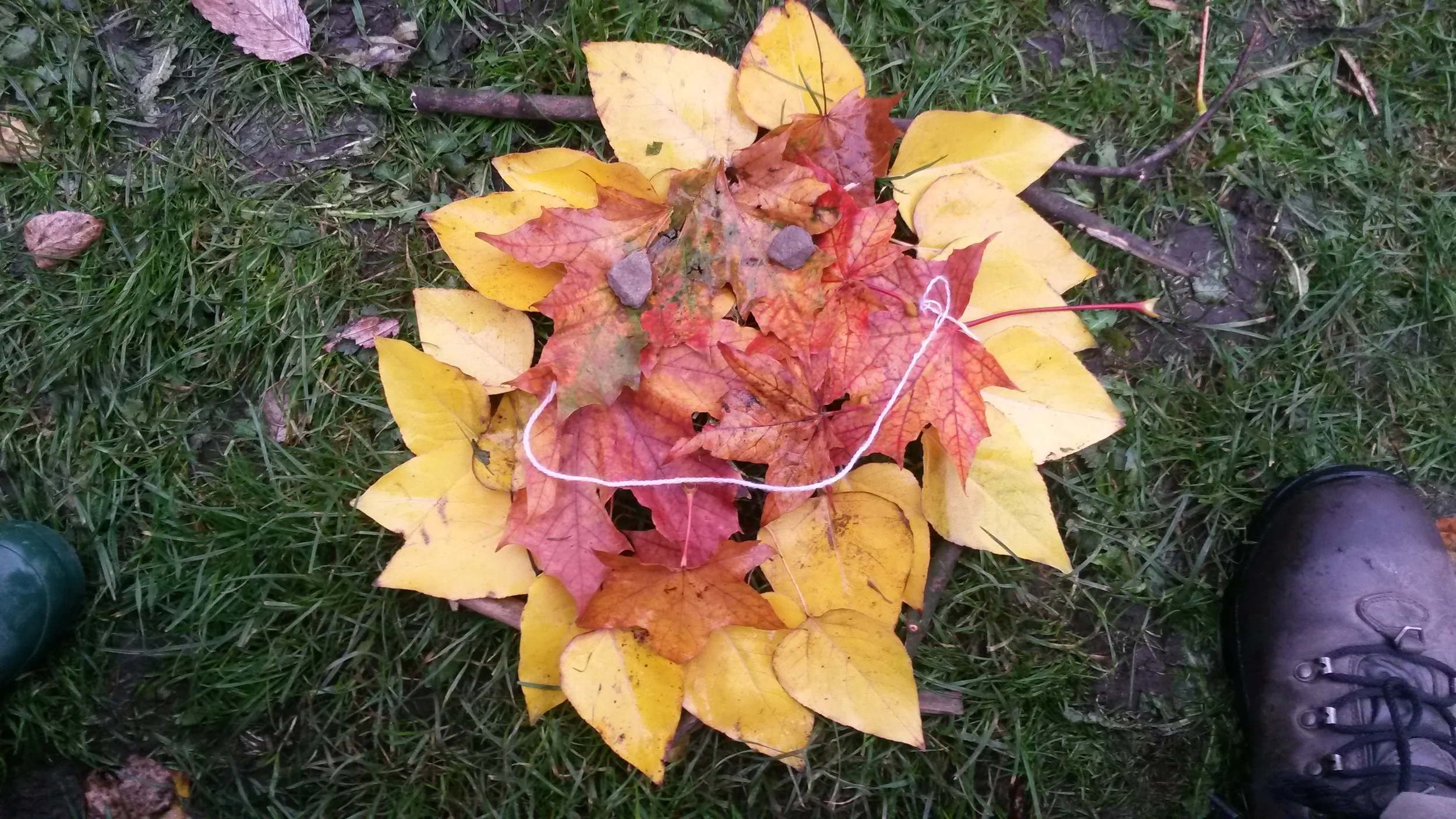 20131011_102038.jpg