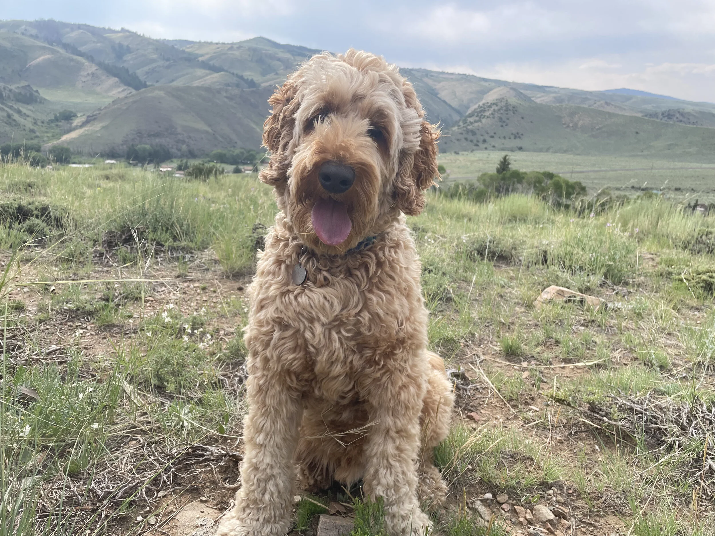 Why Mother Nature is So Healing - Even in Small Doses Inside