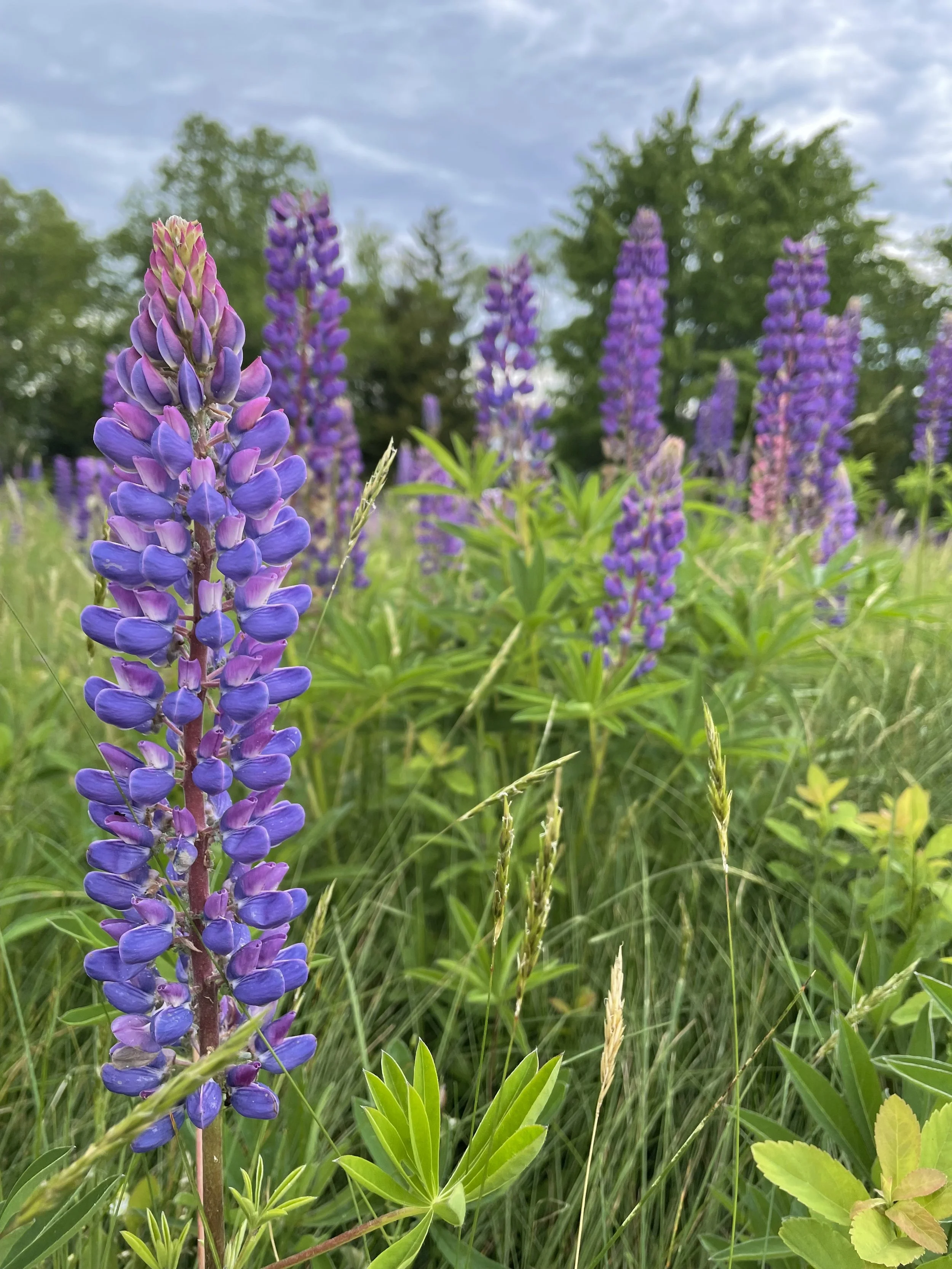 Power Ups to Boost Resilience & Energy