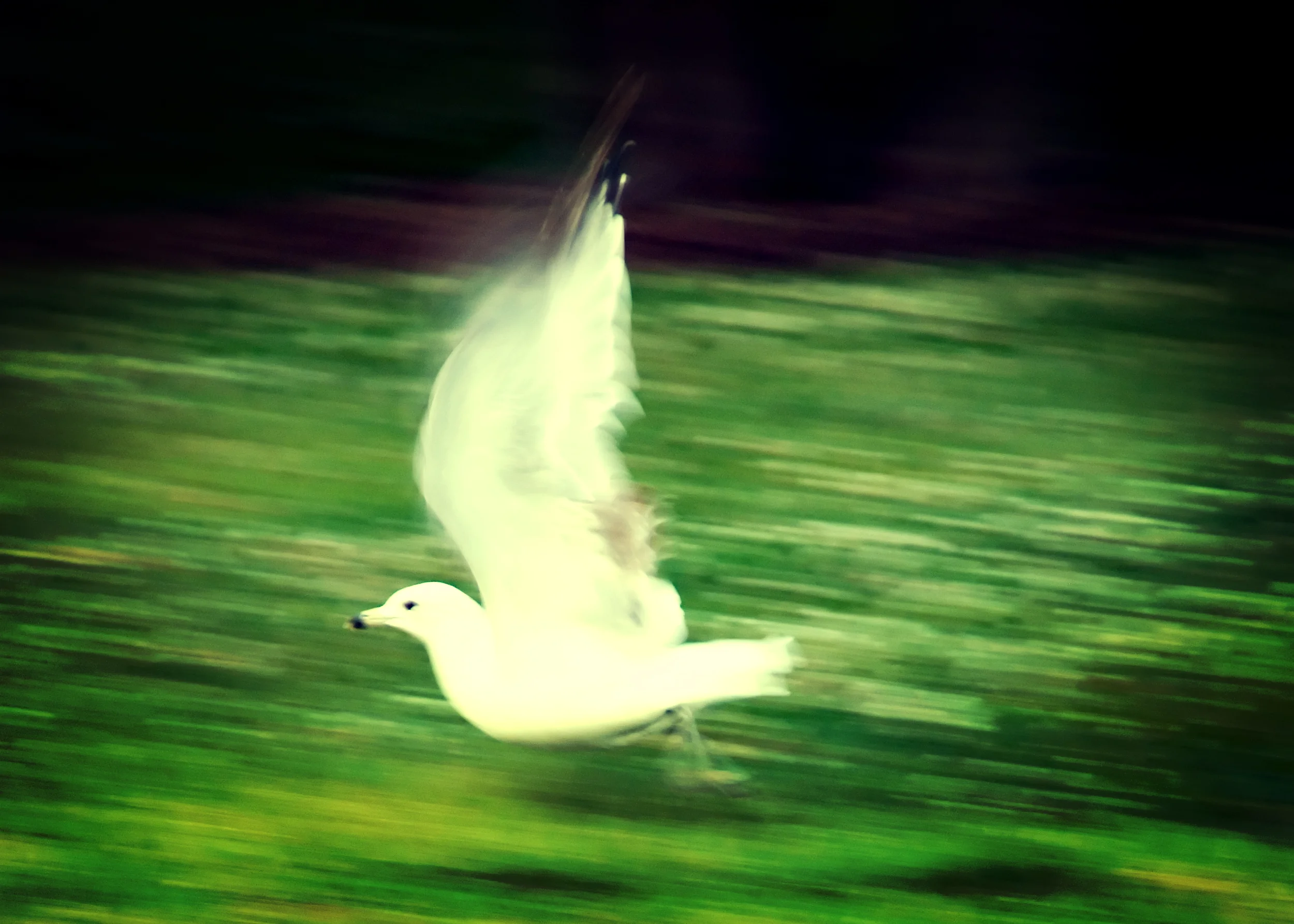 Movement & Momentum