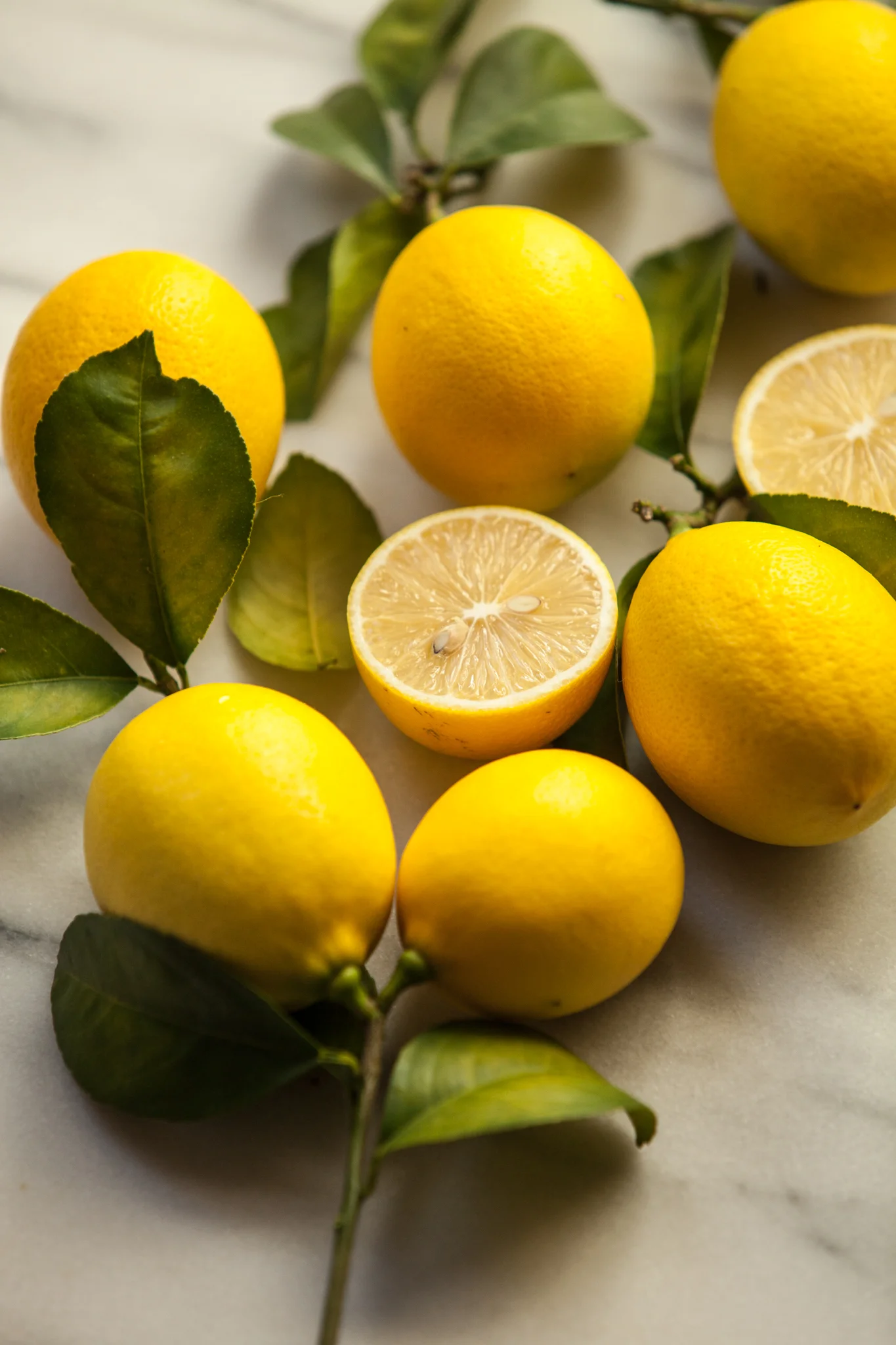 Meye Lemons-04-2016.jpg