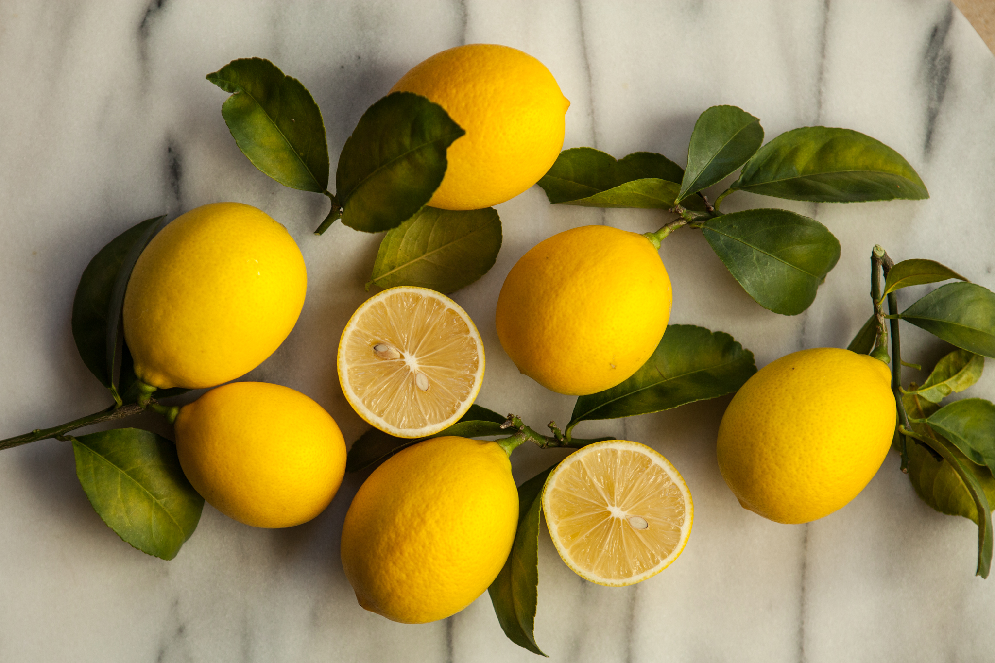 Meye Lemons-03-2016.jpg