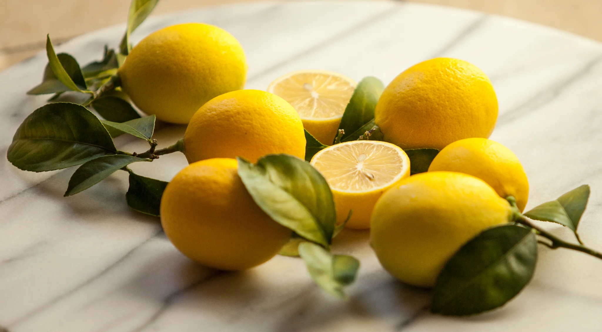 Meye Lemons-05-2016.jpg