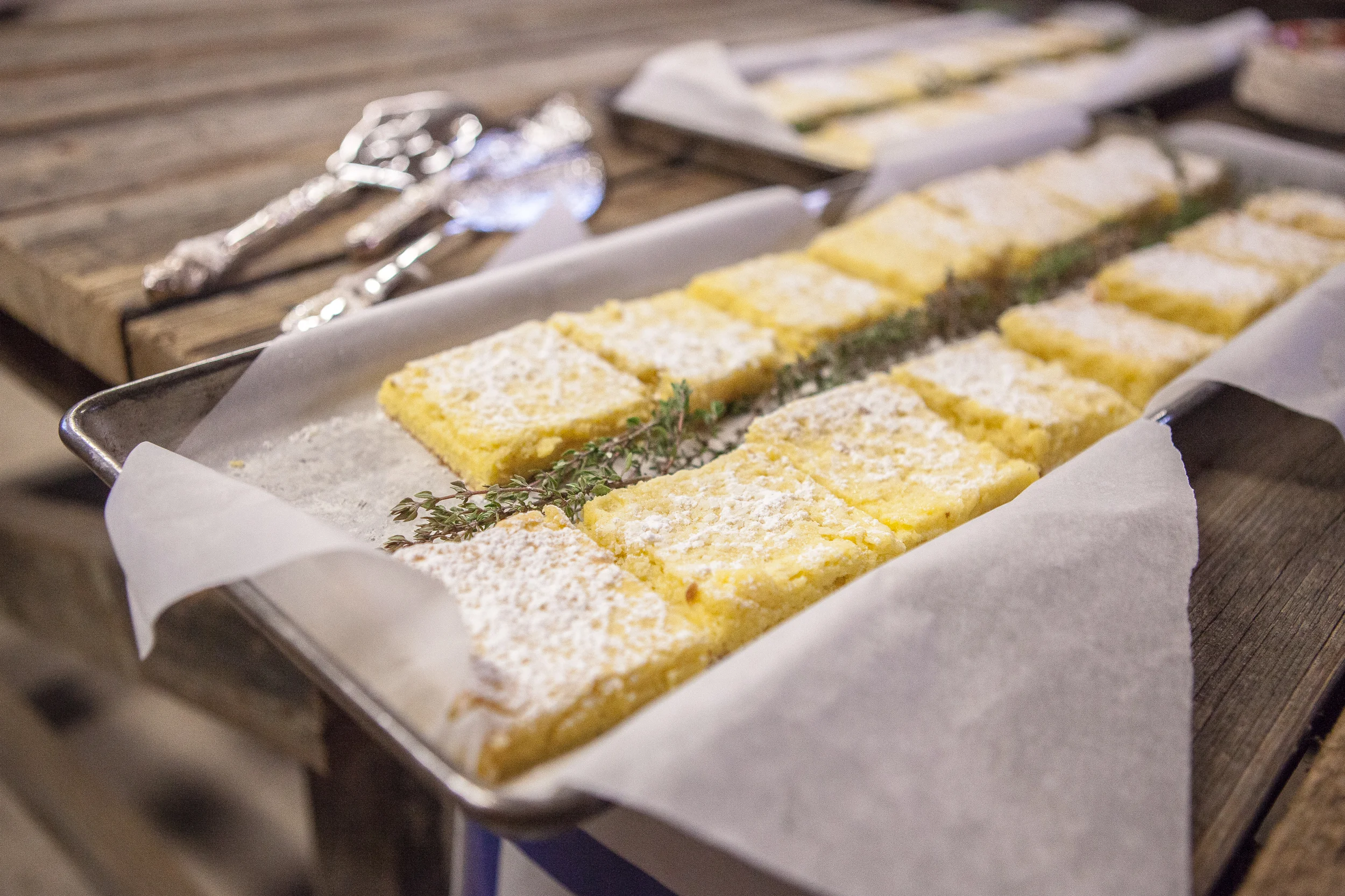 Sea Salt CSA Dinner-62-2015.jpg