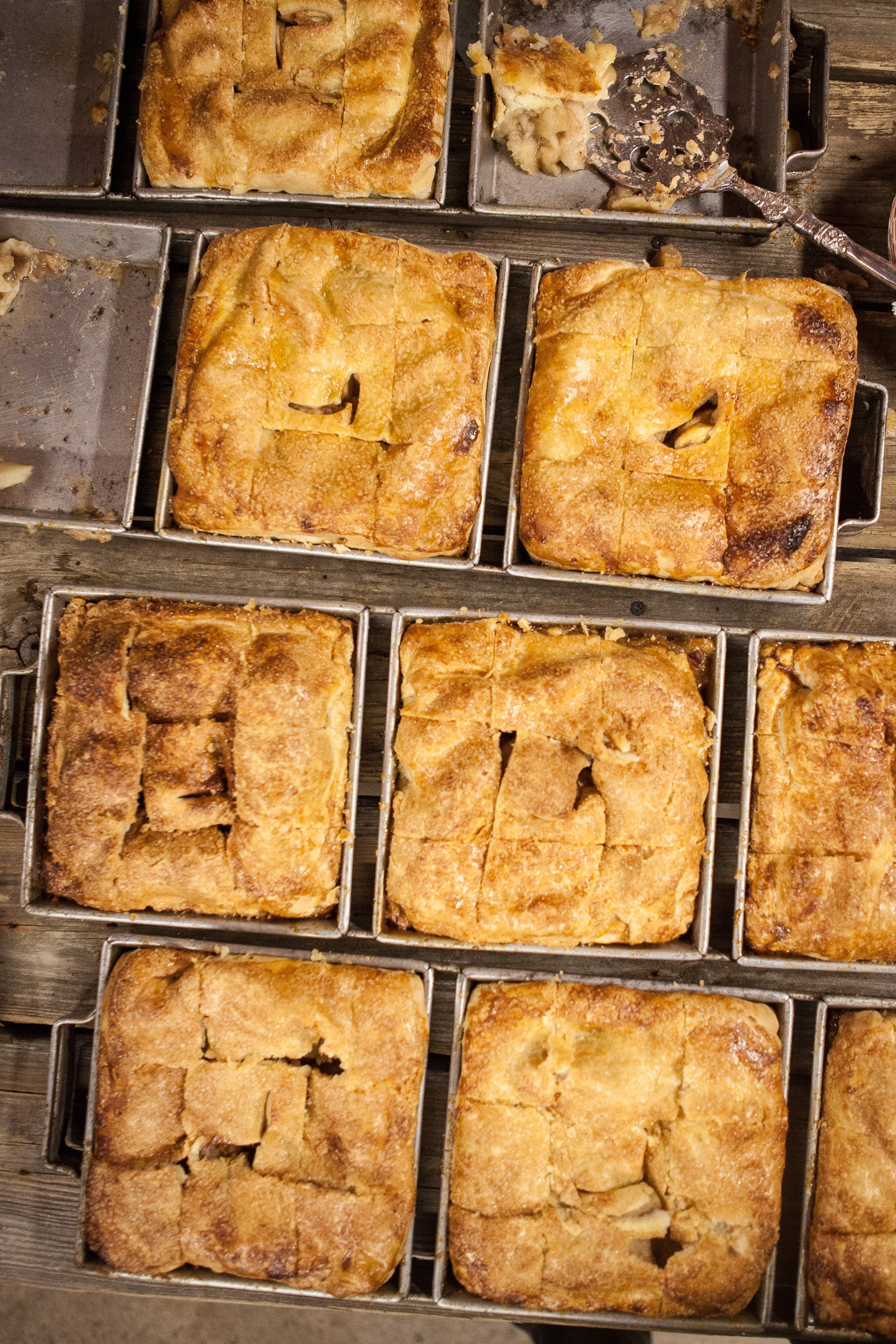 Sea Salt CSA Dinner-68-2015.jpg