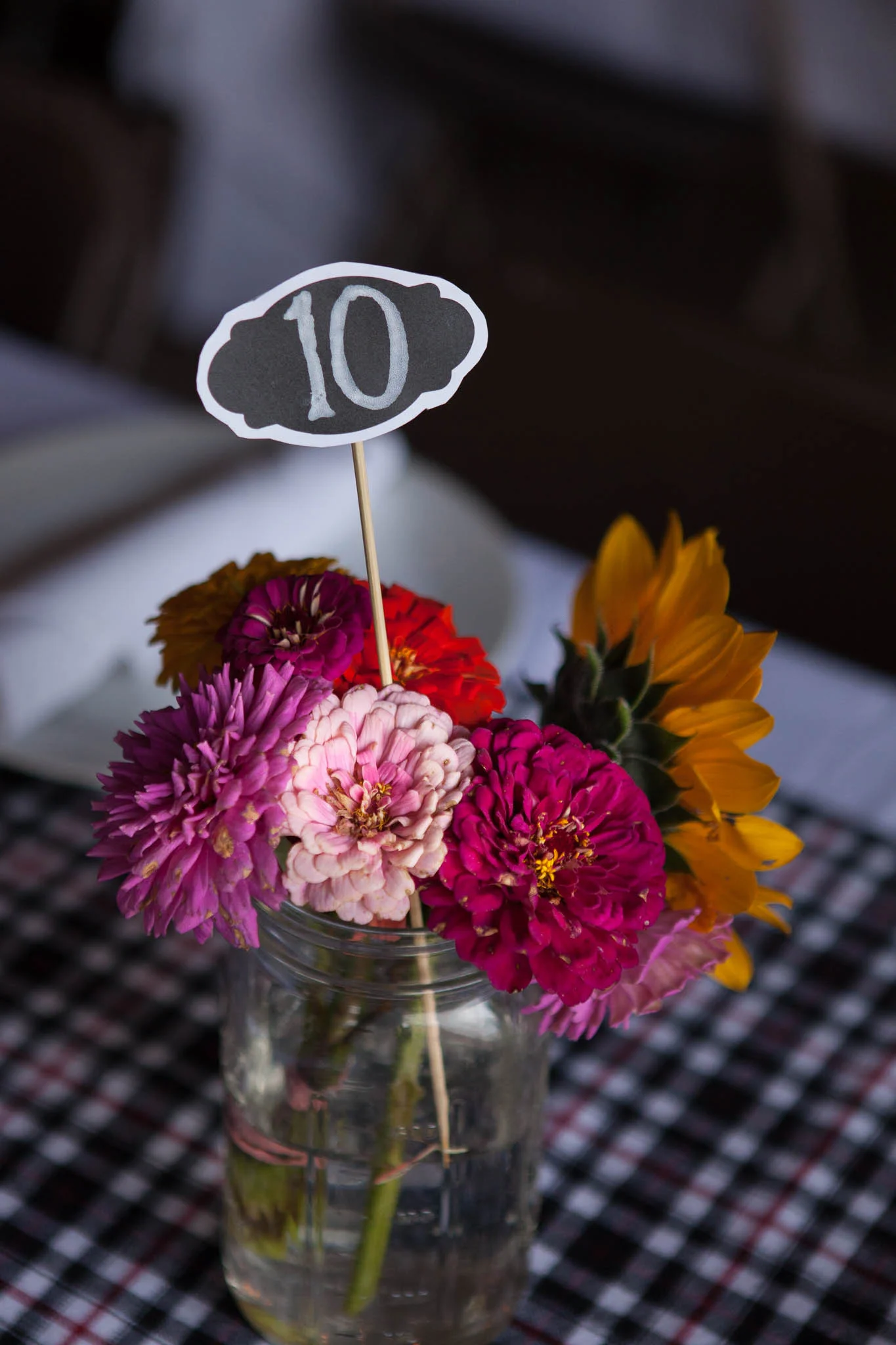 CSA Dinner 2017-025.jpg