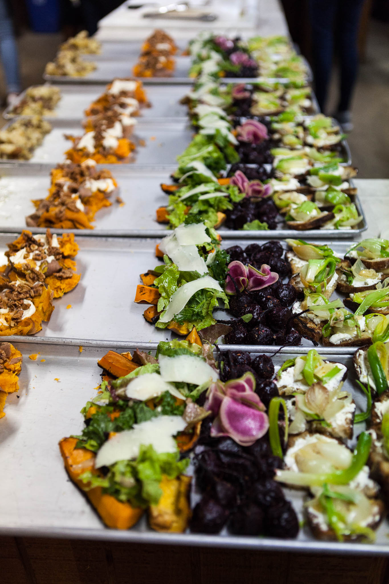 CSA Dinner 2017-077.jpg