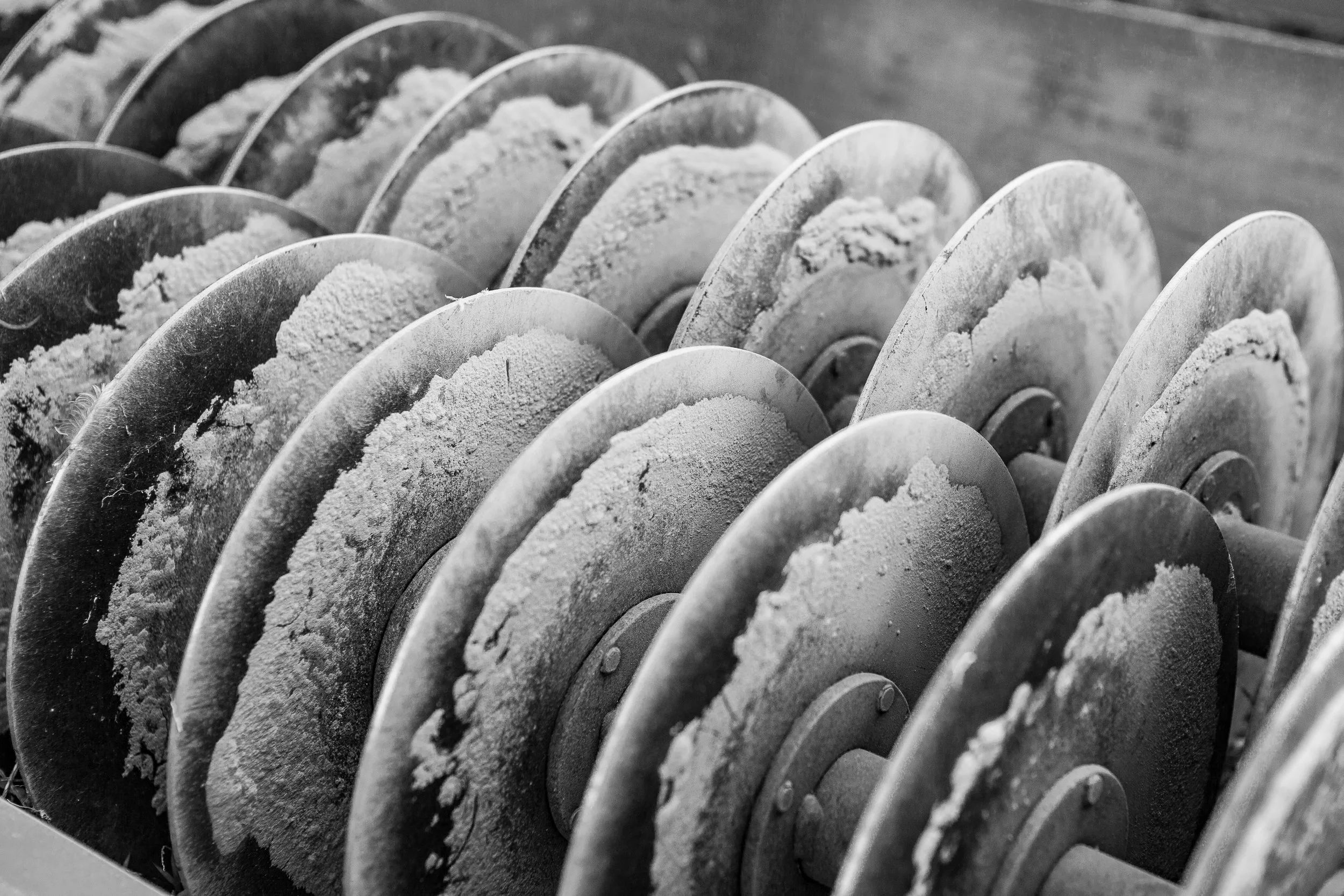 CSA Harvest Dinner 2016-32-2016.jpg