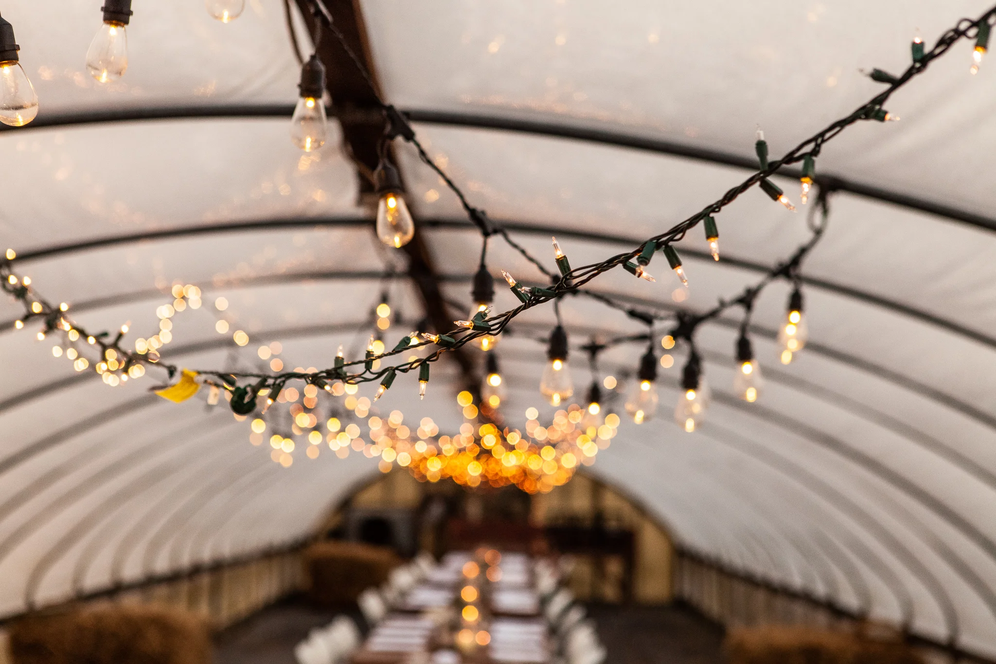 Farm Dinner 2018-001.jpg