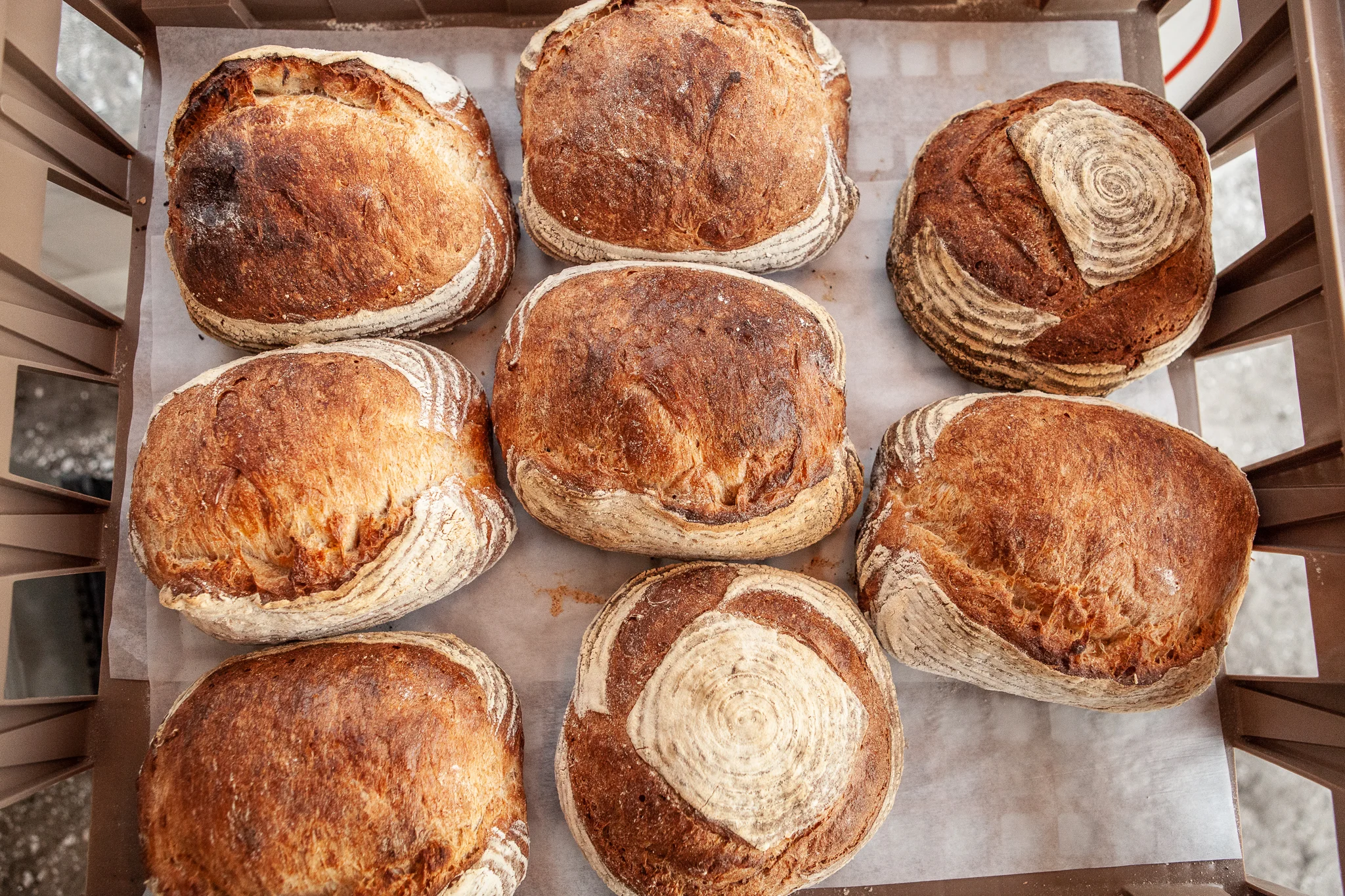 Farm Dinner 2018-030.jpg