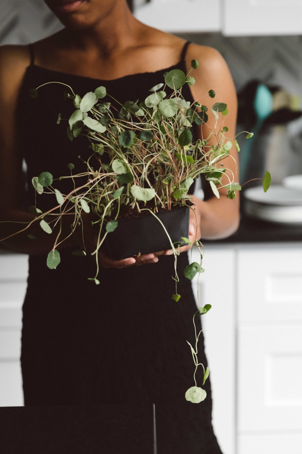 Jimena-Peck-Denver-Lifestyle-Editorial-Photographer-Thistle-And-Mint-Grabbing-Sprouts