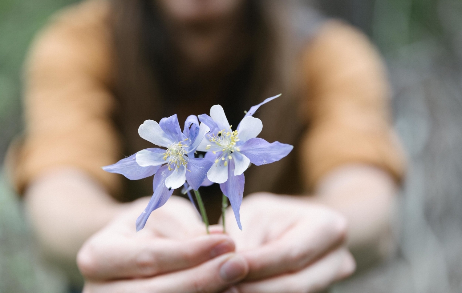 Jimena-Peck-Denver-Lifestyle-Editorial-Photographer-Daniel-Gray’s-Sourdough-Bread-Close-Up-Flowers