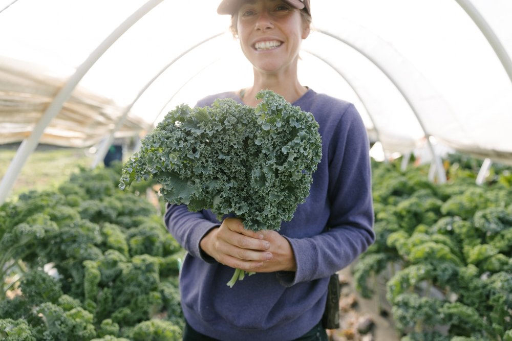 Jimena-Peck-Denver-Lifestyle-Editorial-Photographer-Native-Hill-Farm-The-Veggies-Grabbing-Kale-Bunch