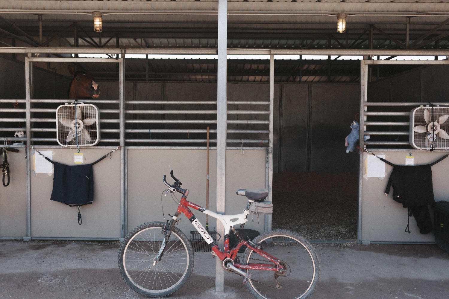 Jimena-Peck-Denver-Lifestyle-Editorial-Photographer-Colorado-Horse-Park-Mandy-Porter-For-Mastermind-Bike