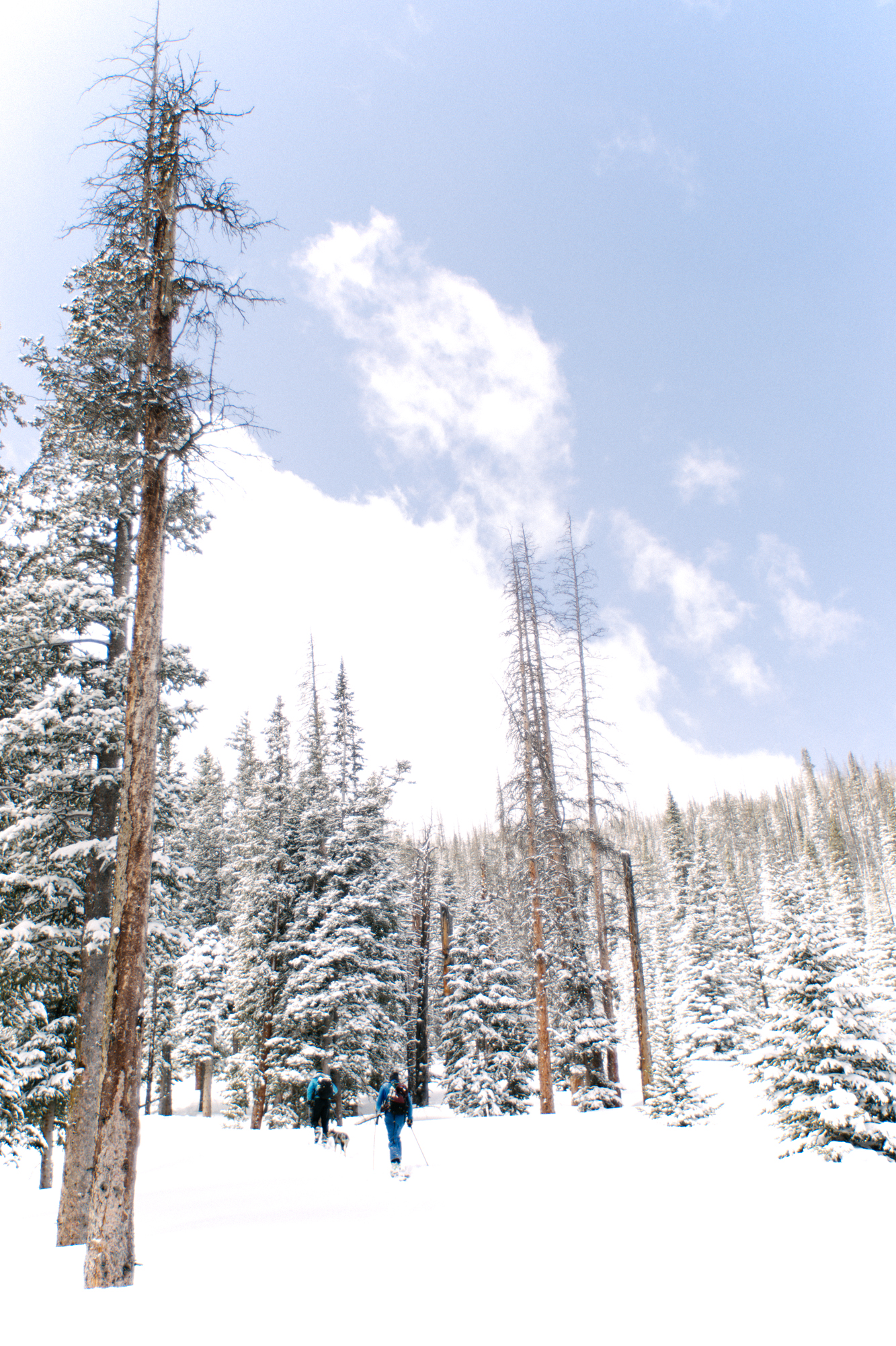  Jimena Peck Denver Lifestyle Editorial Photographer Snow Trekking