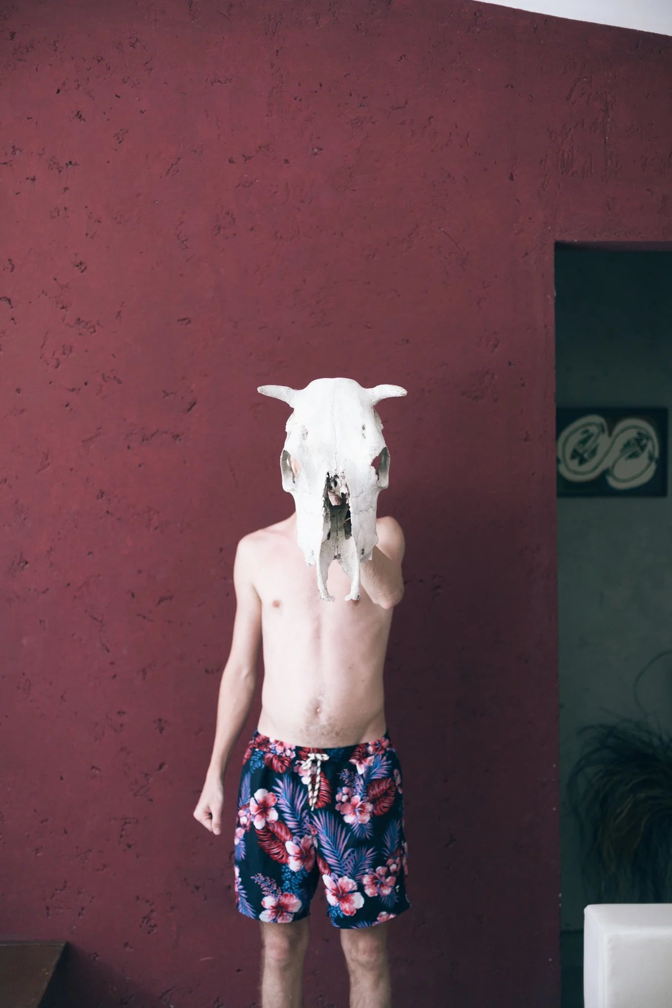 Jimena Peck Denver Lifestyle Editorial Photographer Cow Skull