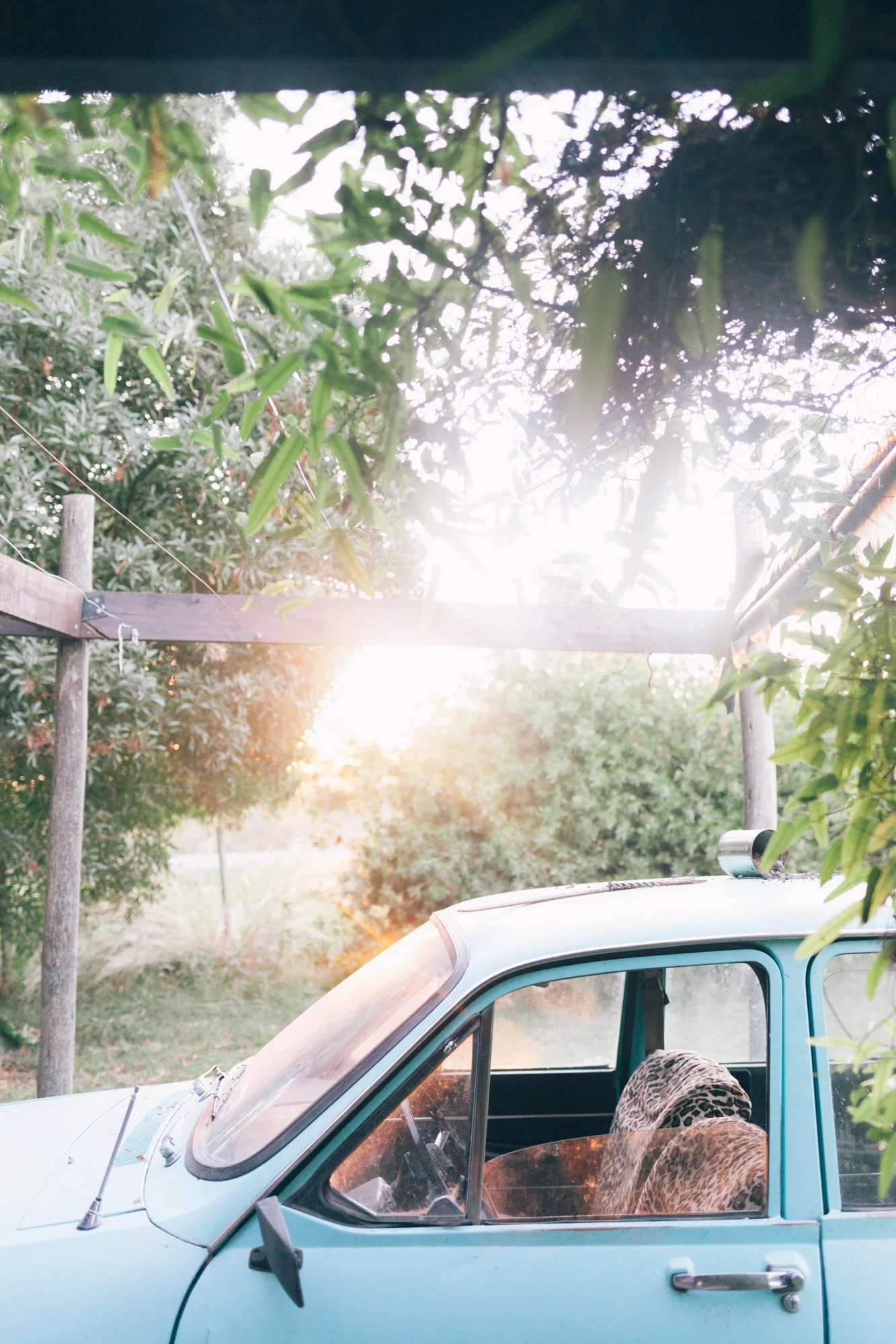 Jimena Peck Denver Lifestyle Editorial Photographer Farm House