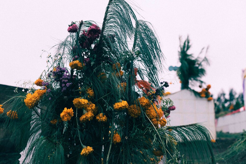 Jimena Peck Denver Editorial Documentary Photographer - Mexico Dia Muertos Pines Flowers Bouquet 