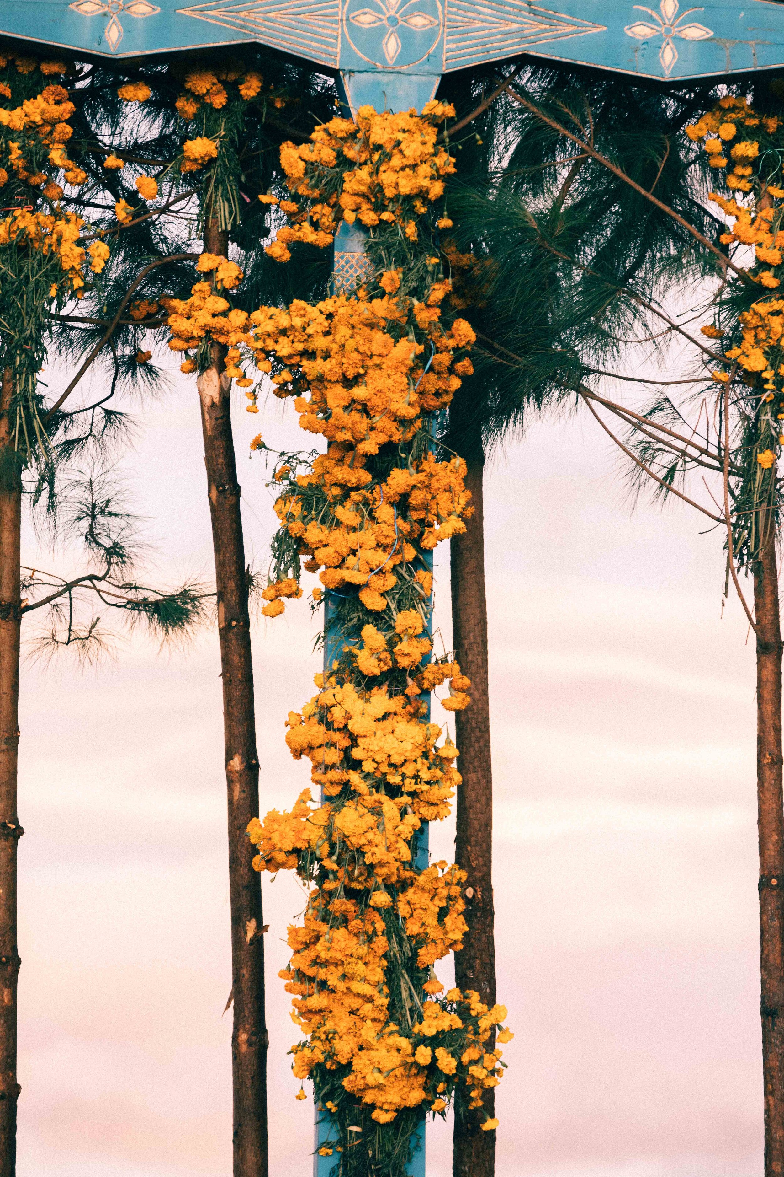 Jimena Peck Denver Editorial Documentary Photographer - Mexico Dia Muertos Cross Flowered