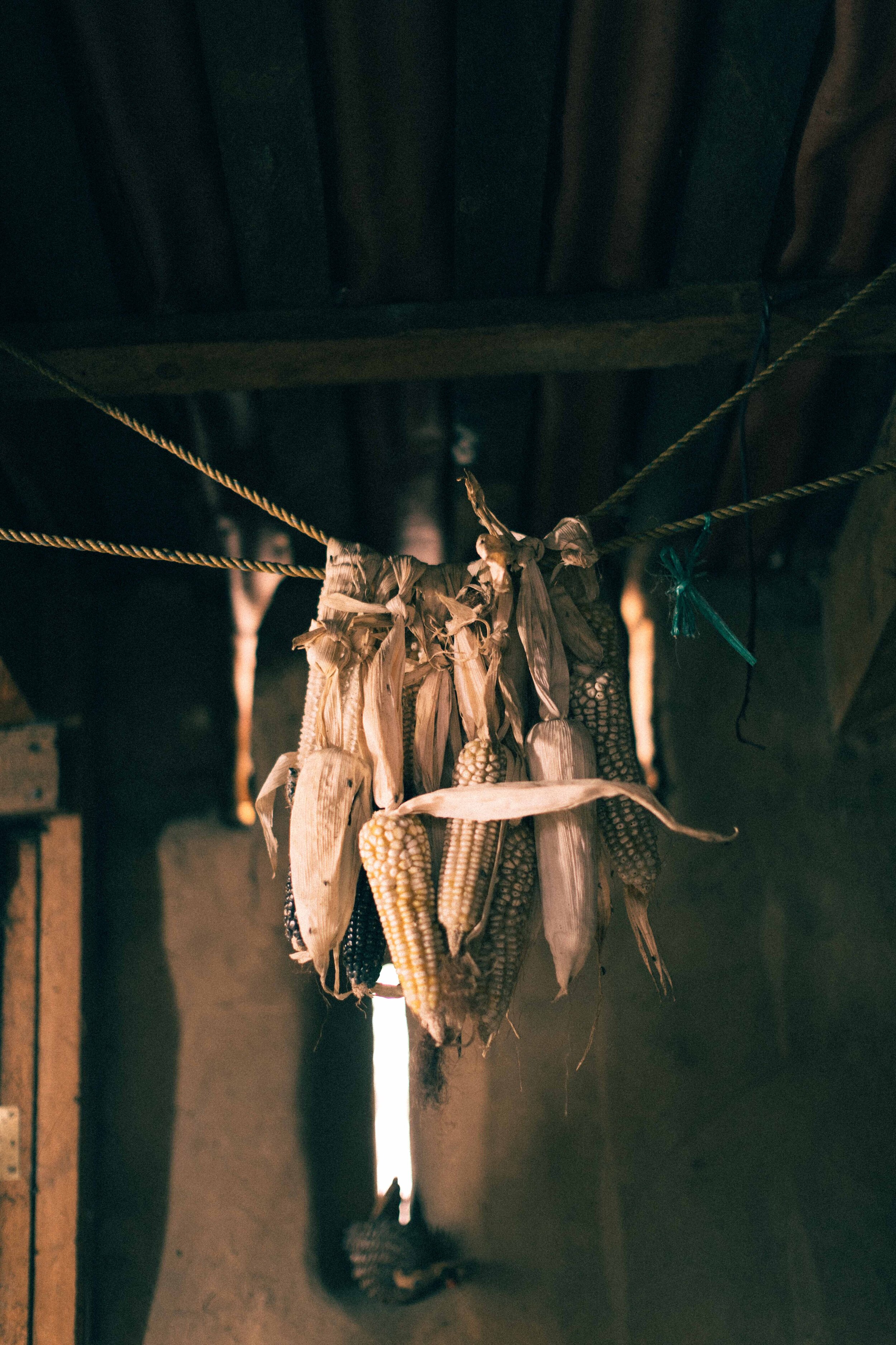 Jimena Peck Denver Editorial Documentary Photographer - Mexico Dia Muertos Dried Corn  