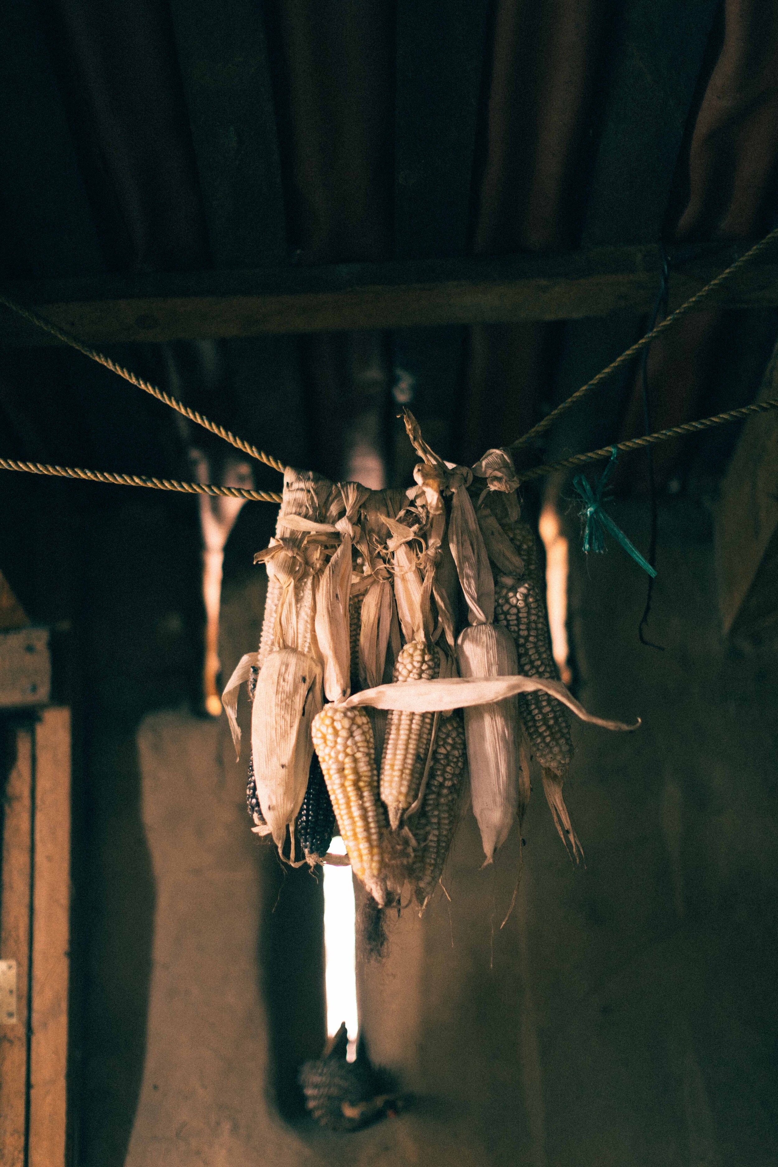 Jimena Peck Denver Editorial Documentary Photographer - Mexico Dia Muertos Dried Corn