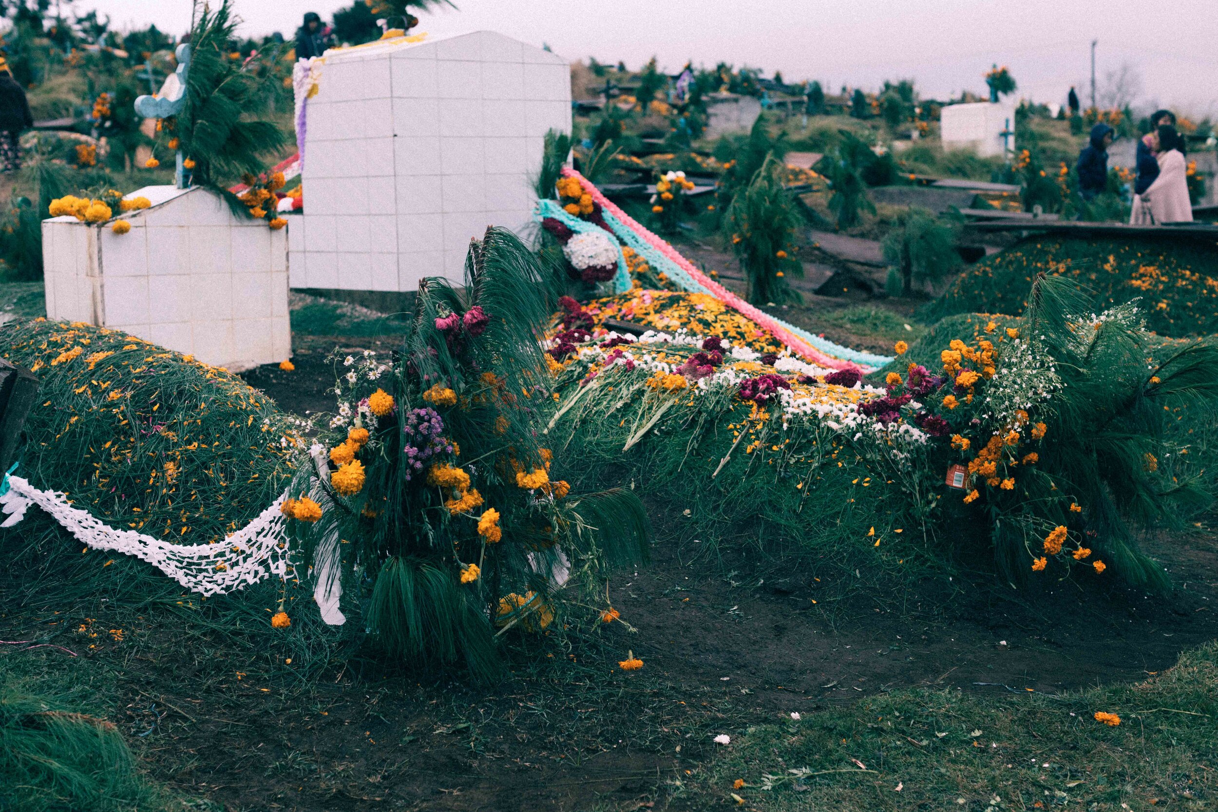 Jimena Peck Denver Editorial Documentary Photographer - Mexico Dia Muertos Tomb Decoration