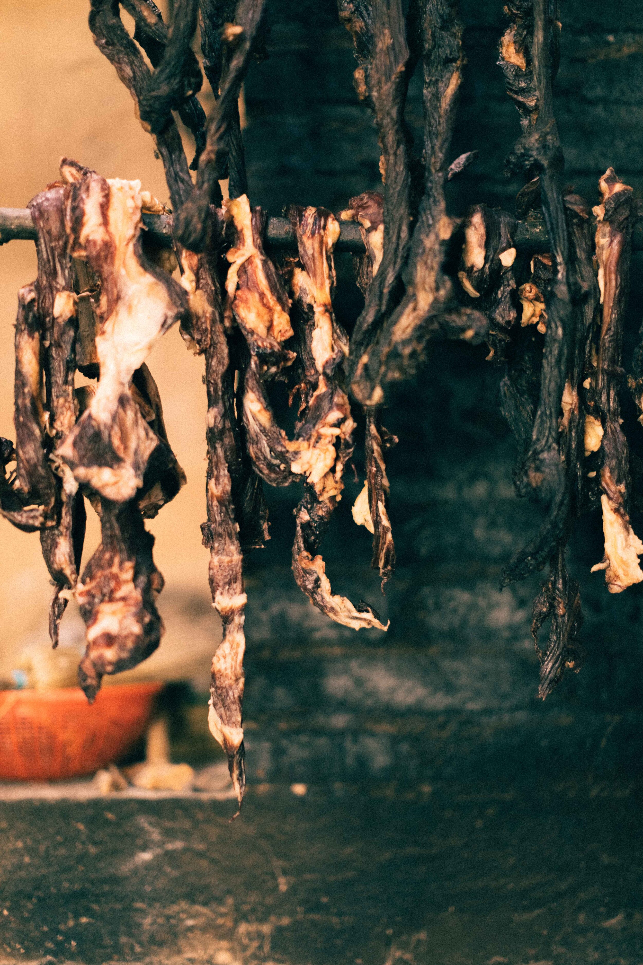 Jimena Peck Denver Editorial Documentary Photographer - Mexico Dia Muertos Jerky