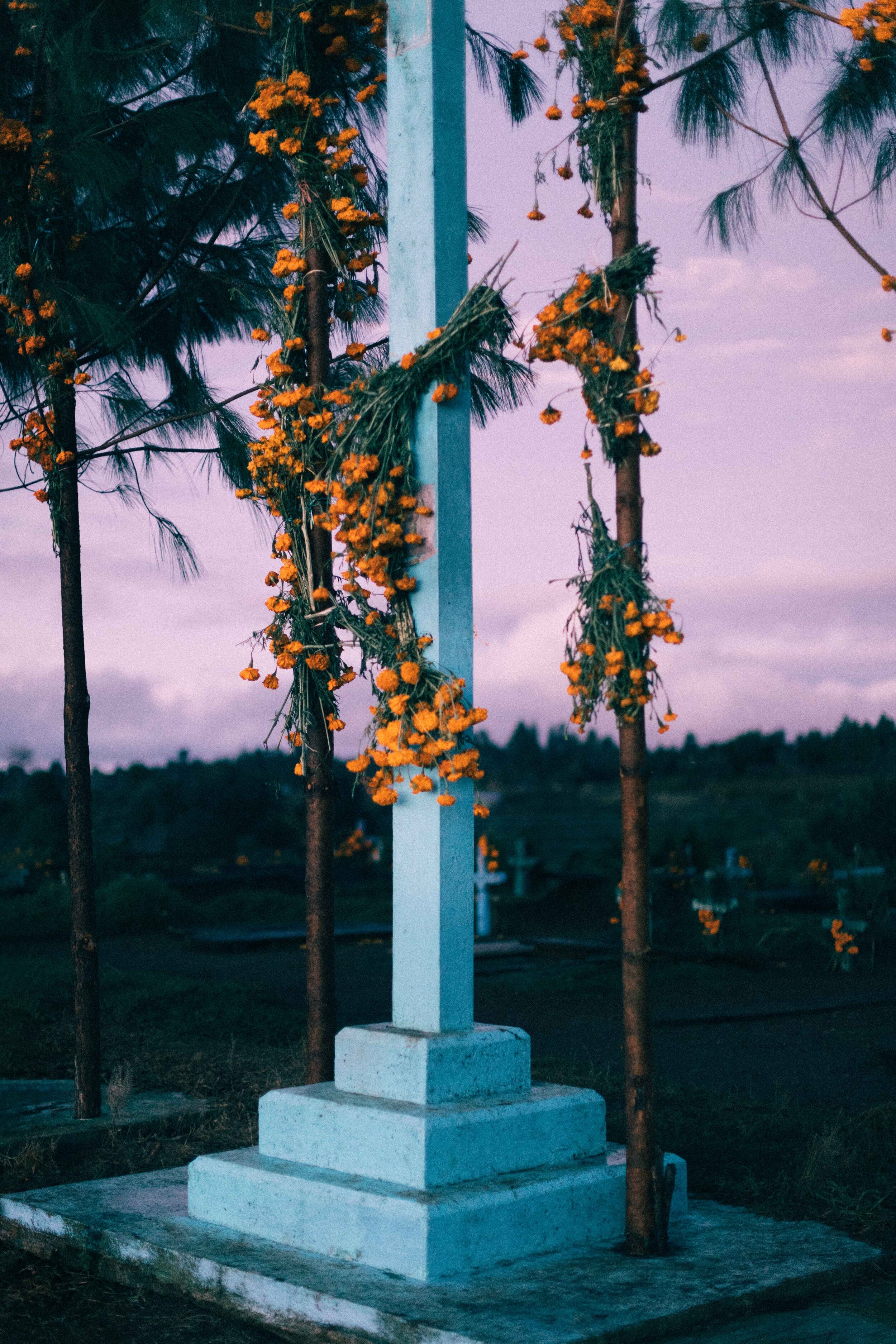 Jimena Peck Denver Editorial Documentary Photographer - Mexico Dia Muertos Pedestal 