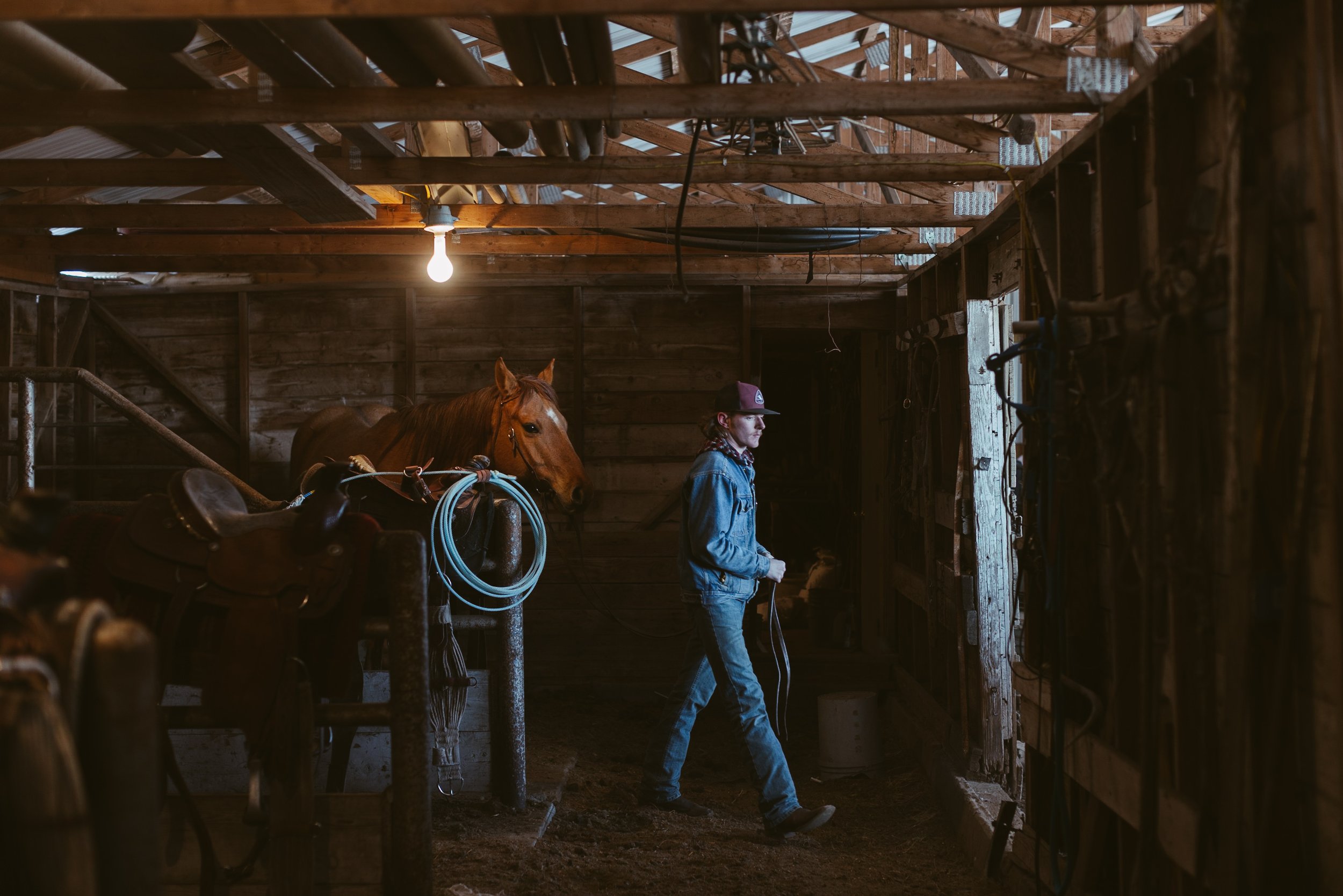  Beef- Tryon, Nebraska - February 25, 2022:  Cash Kemp walks outside the barn after unsaddling the horse. Jimena Peck for the Wall Street Journal 