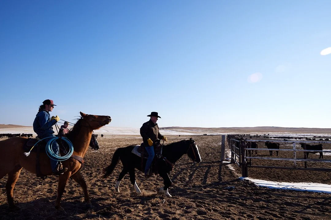 22-02-25-Jimena-Peck-Denver-Photographer-WSJ-North-Platte-Pioneer-Ranch-0357.jpg