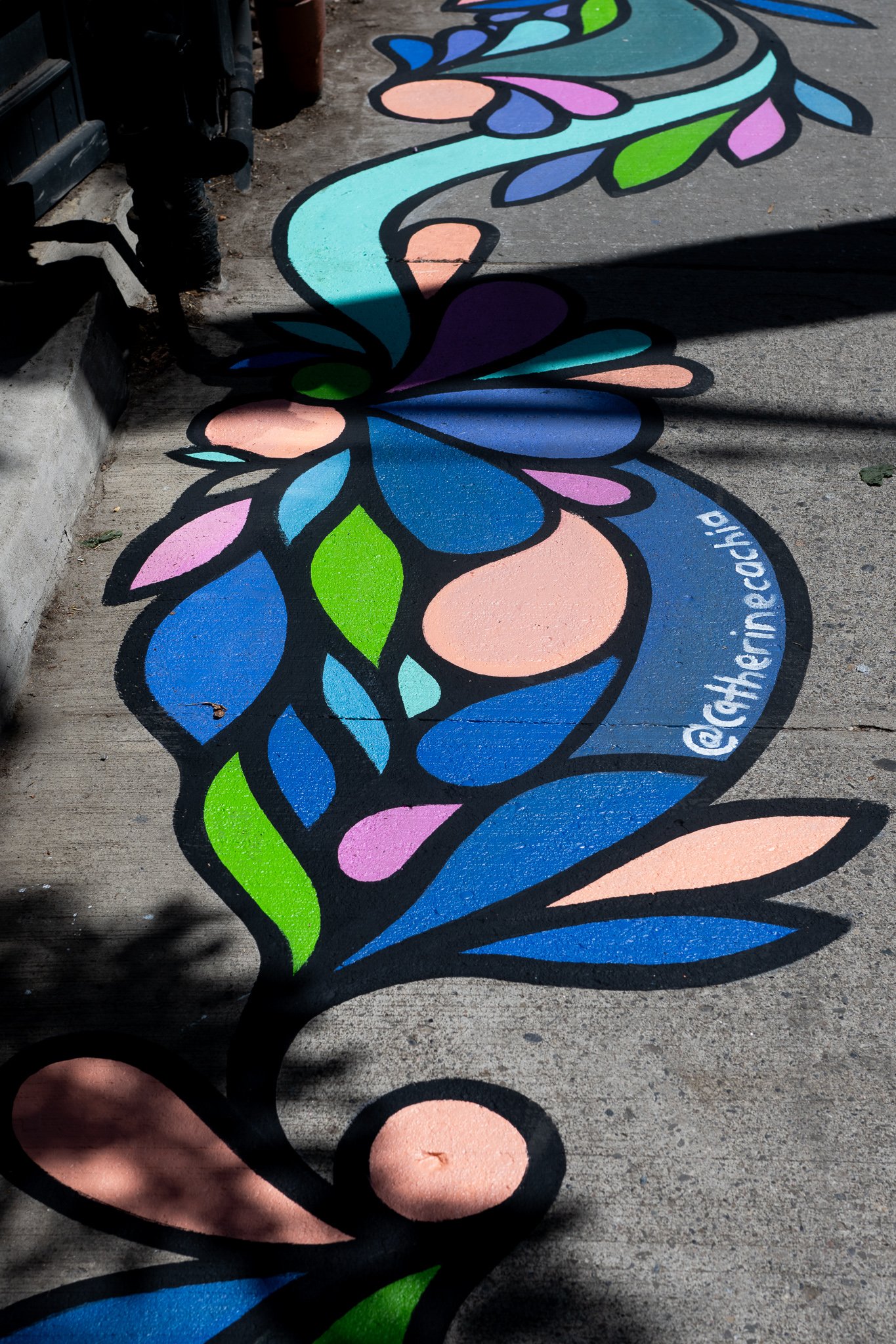 DSC_5565.jpg