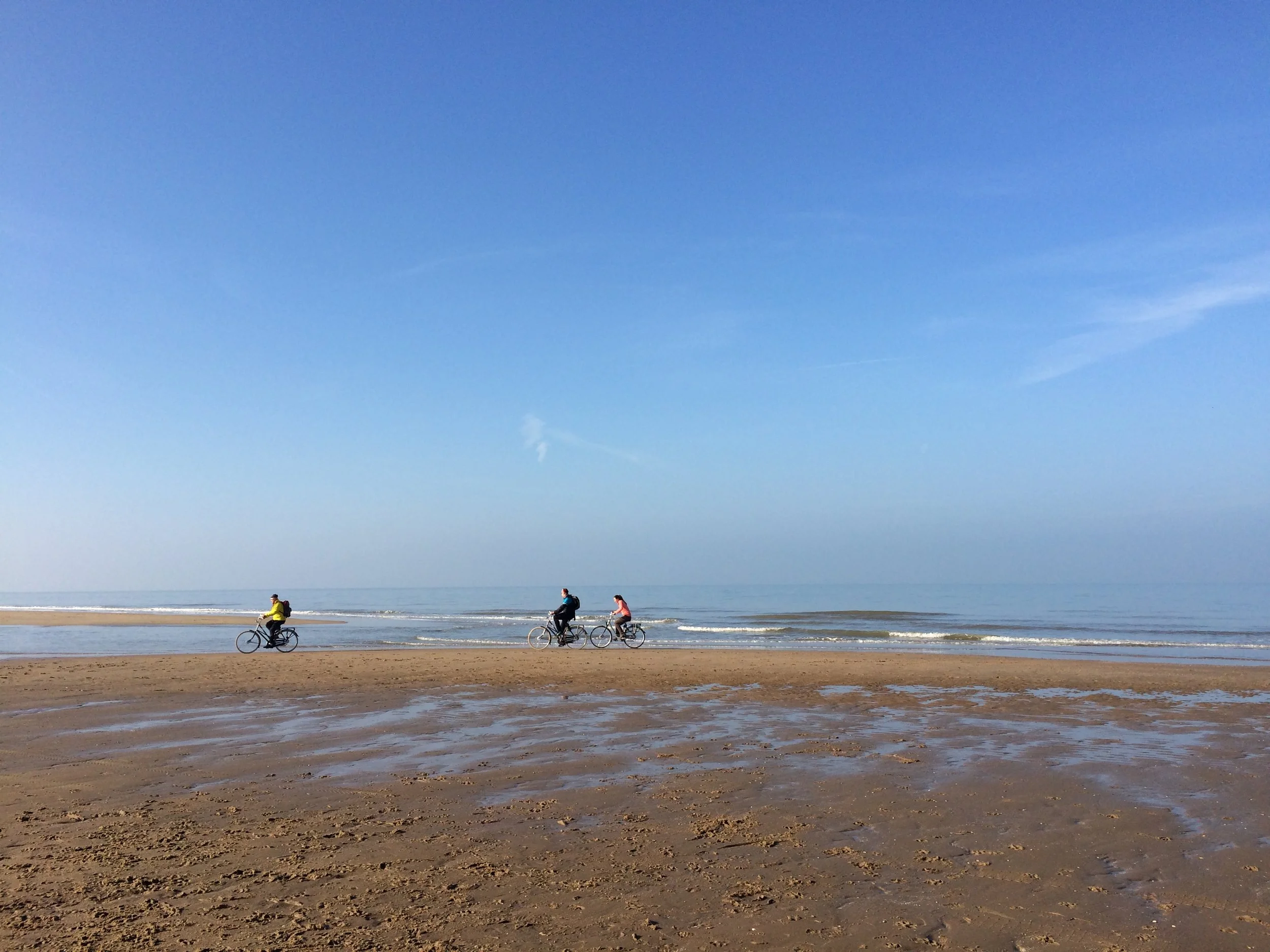 2015 eind okt-nov 306.JPG