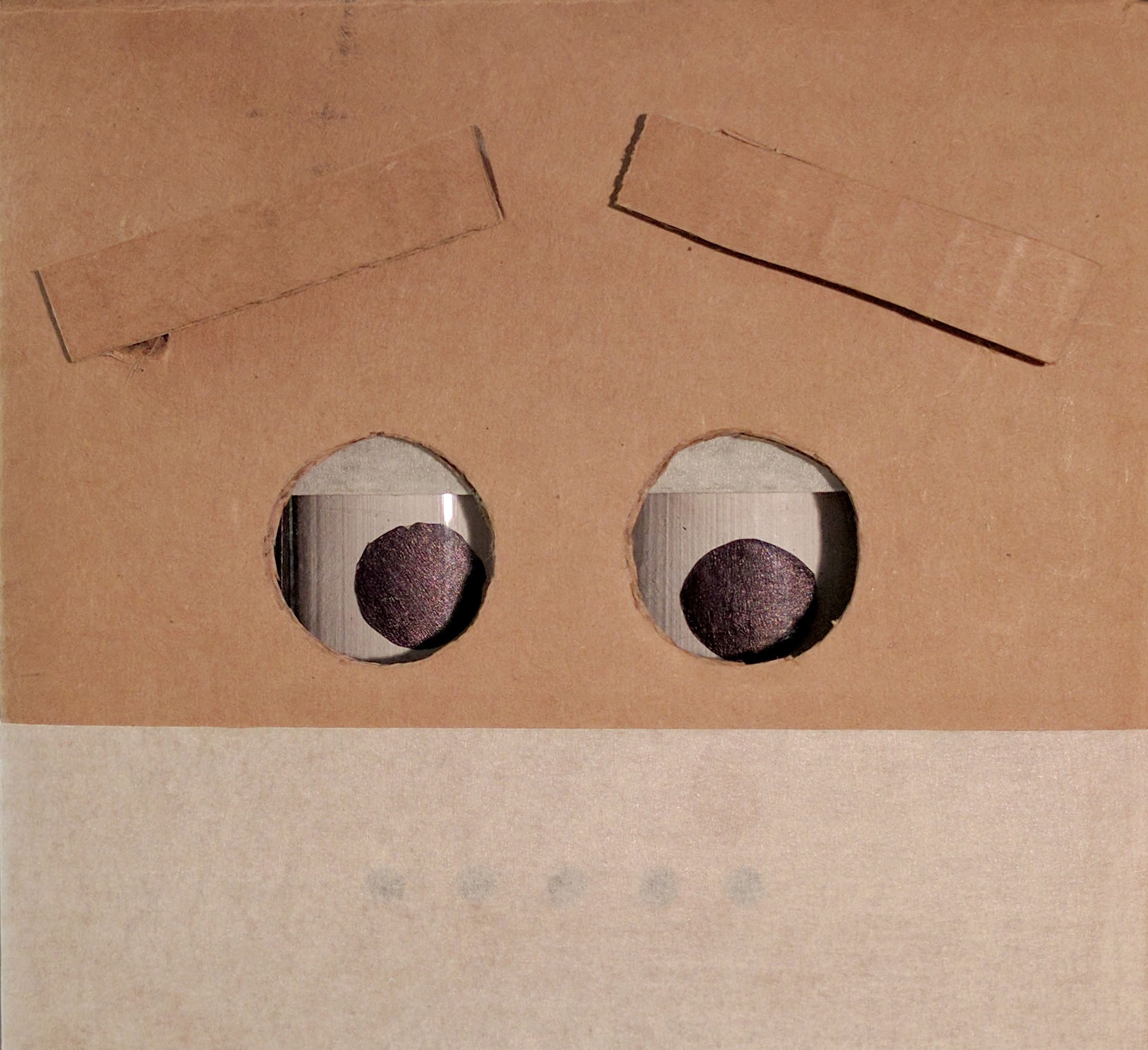 Bot ImageArtboard 1.jpg
