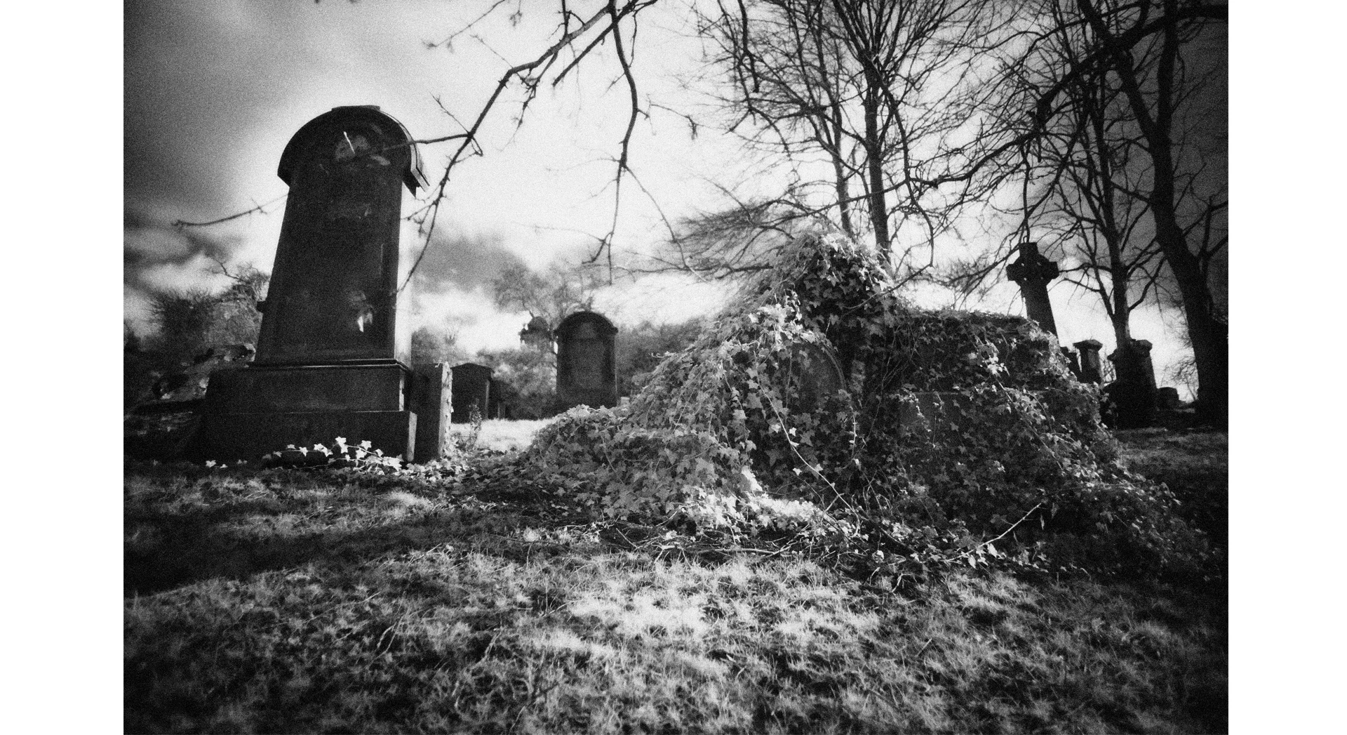 Copy of 5_IMG5497_glow+grain PADDED 1920.jpg