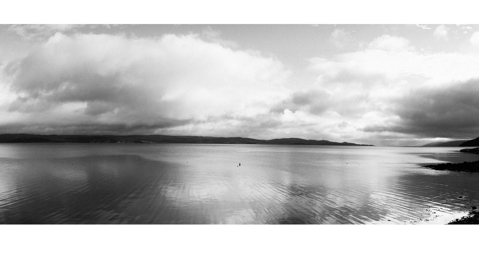 zzz_merge_cropped_B&W_TOP PADDED 1920.jpg