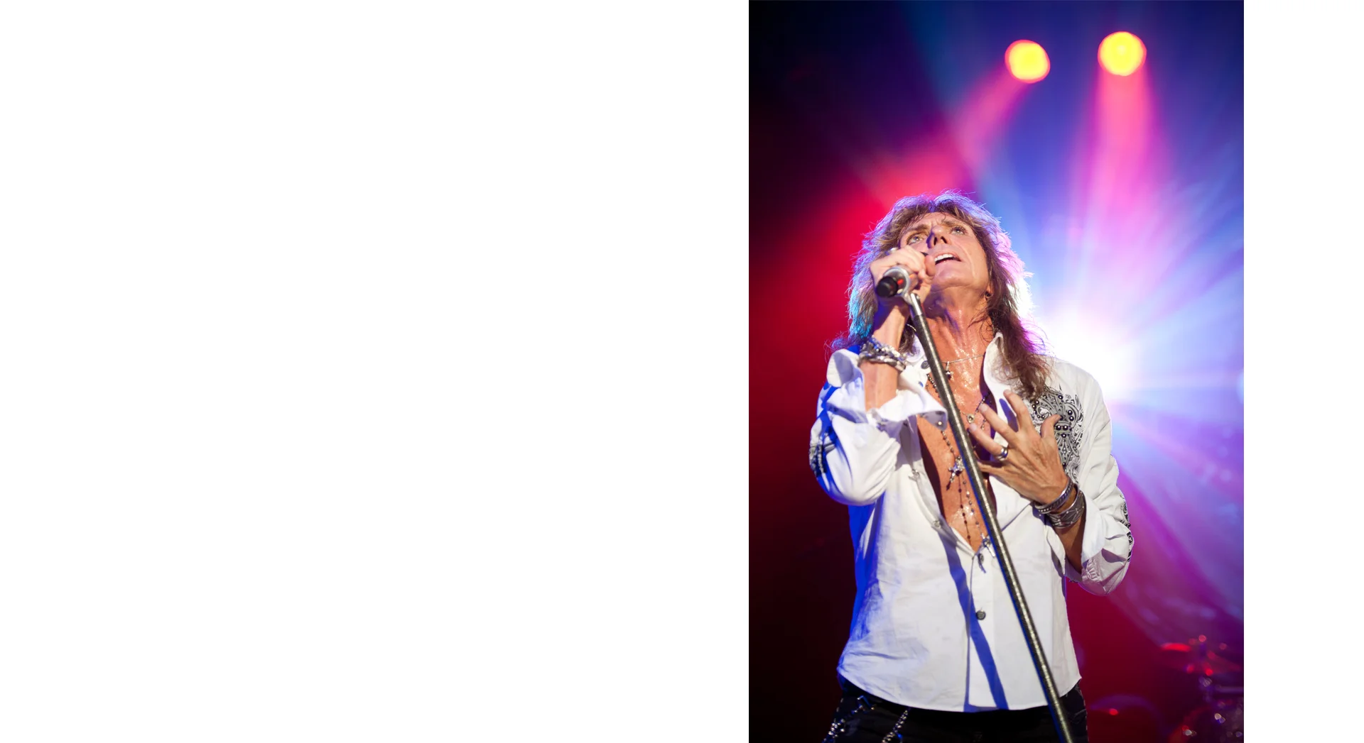 cWhitesnake01 CANVAS 1920.jpg