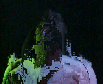 fp gif.jpg