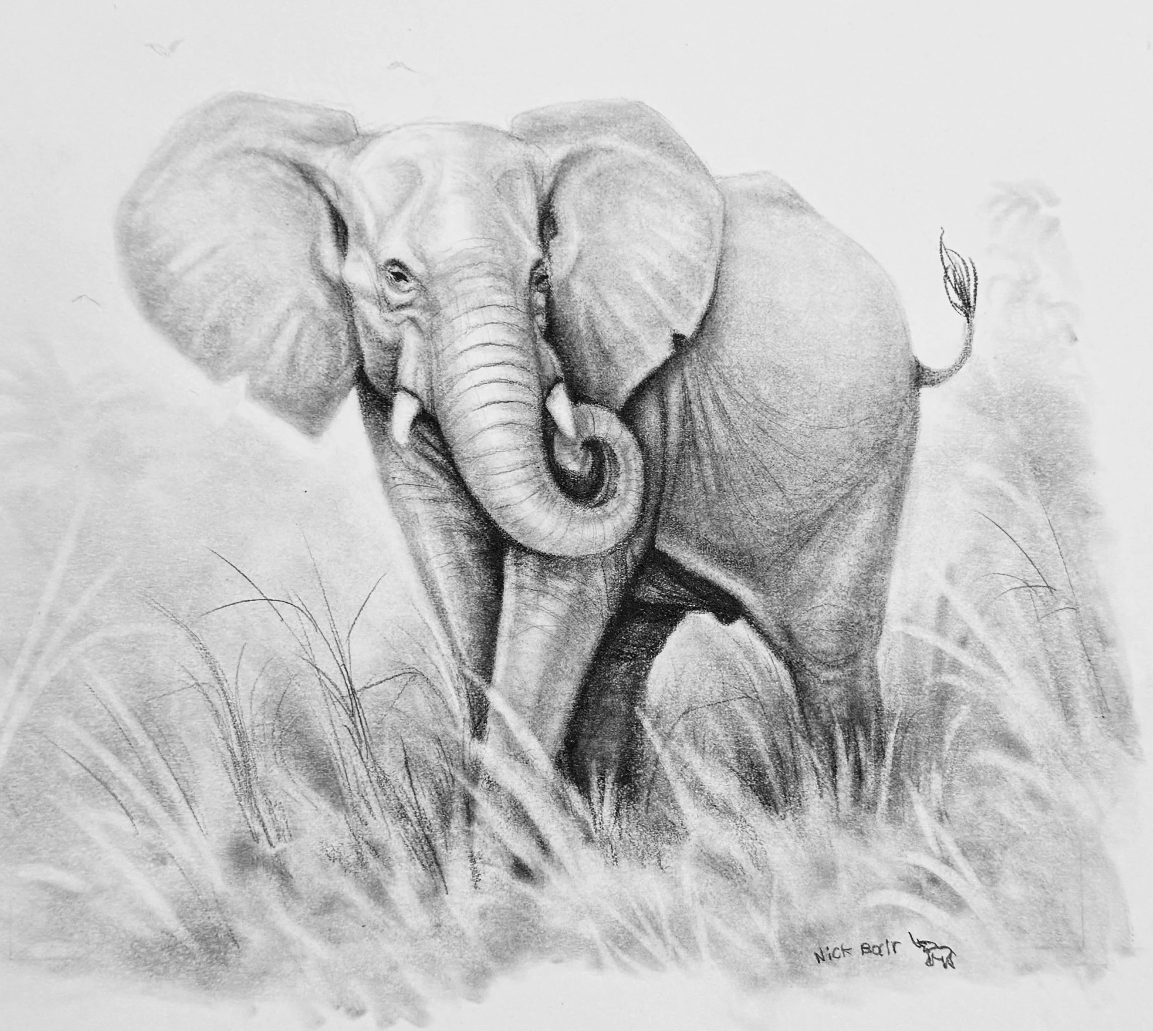 Graphite & Charcoals