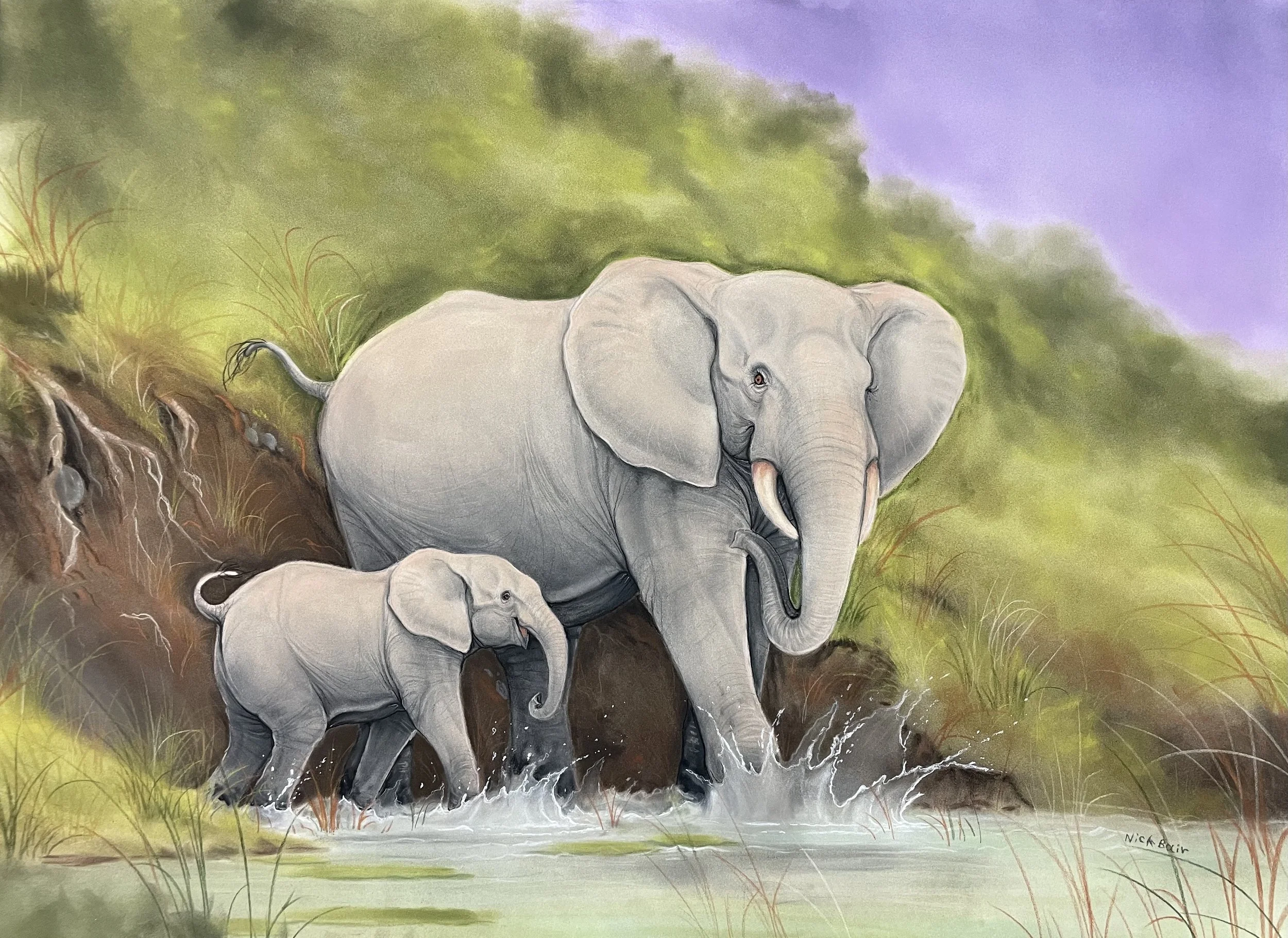 Water Fun 2024 - two elephants at water's edge.jpg